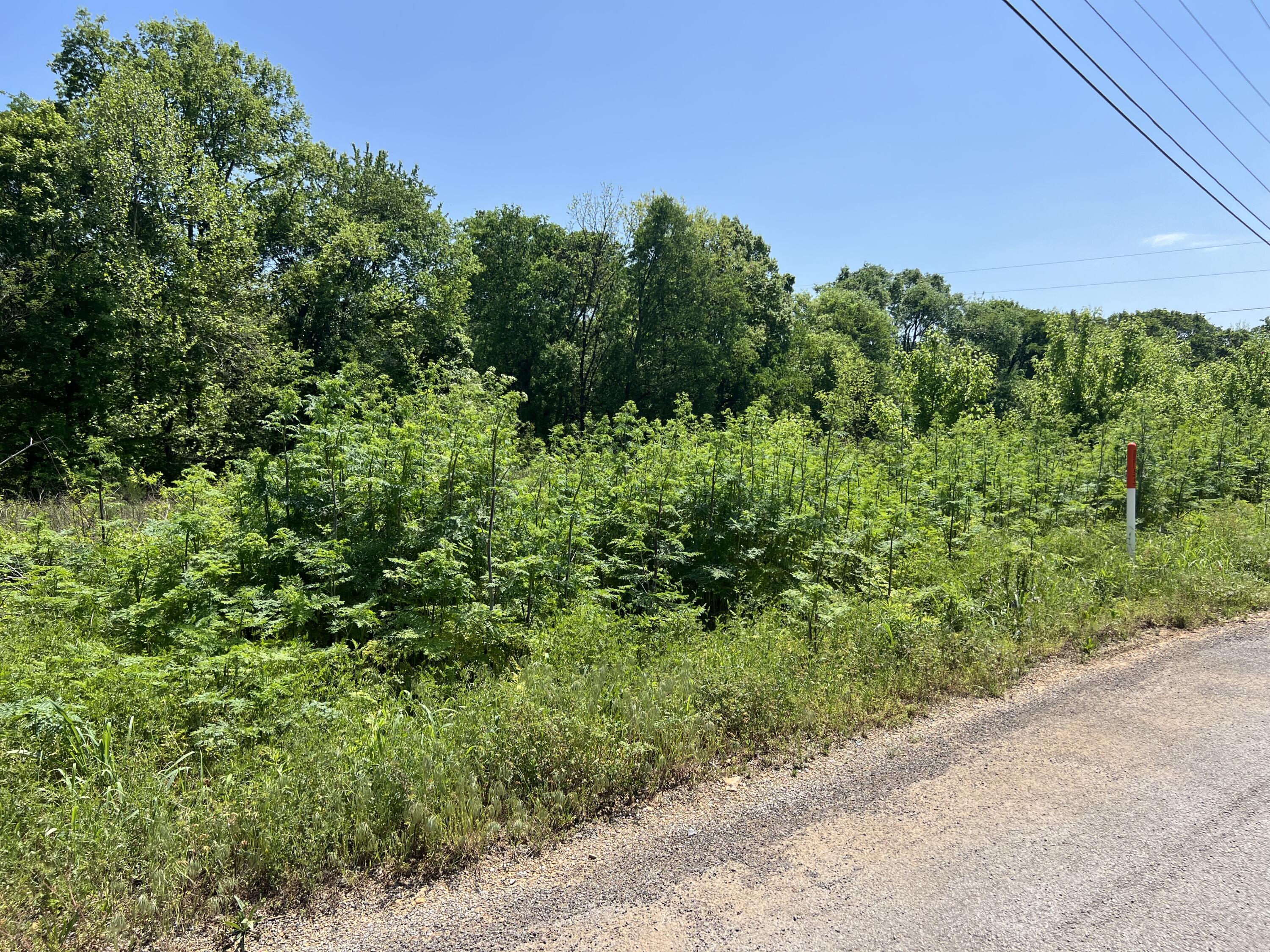 Hwy 11, Riceville, Tennessee image 12