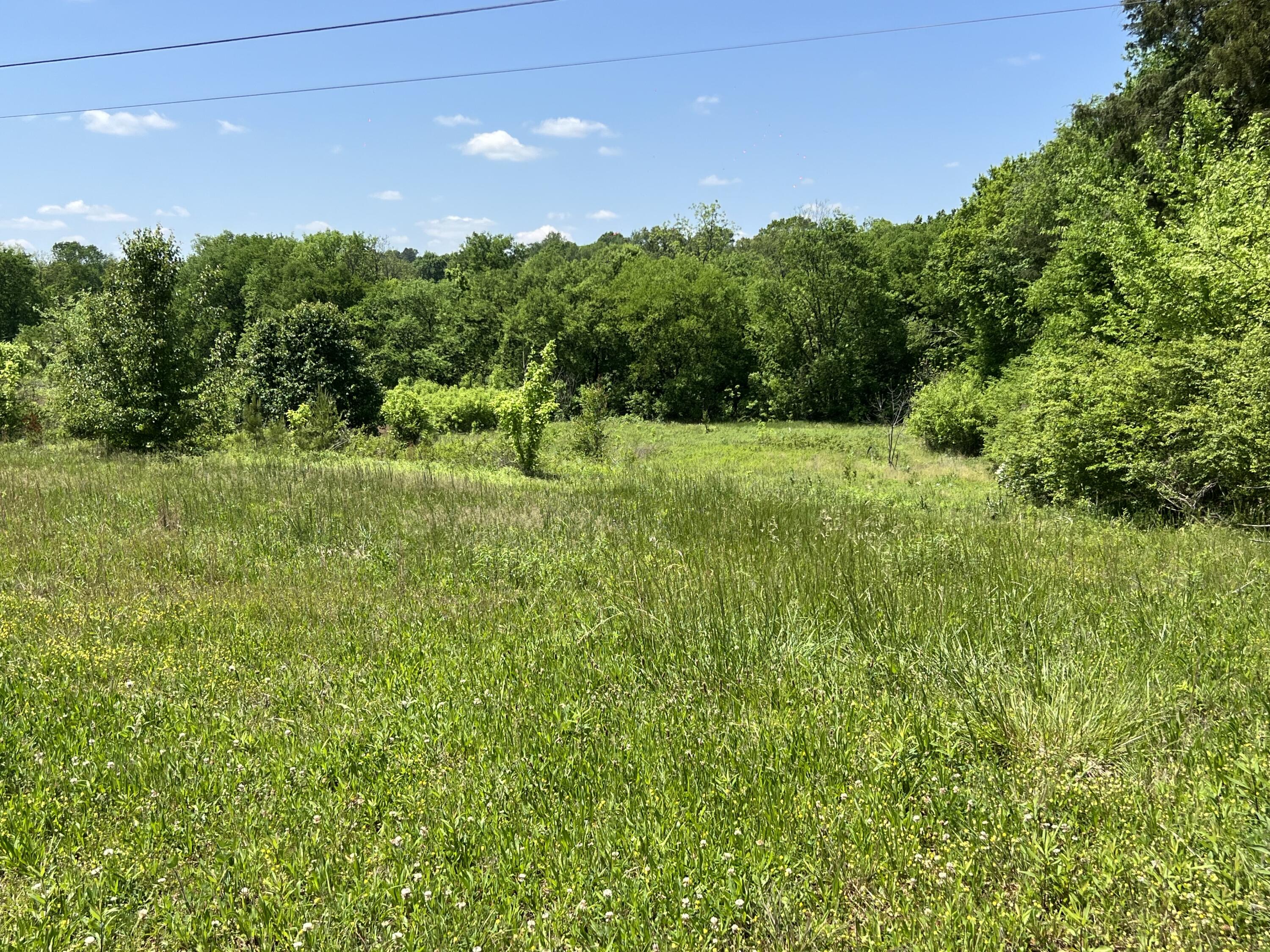 Hwy 11, Riceville, Tennessee image 2