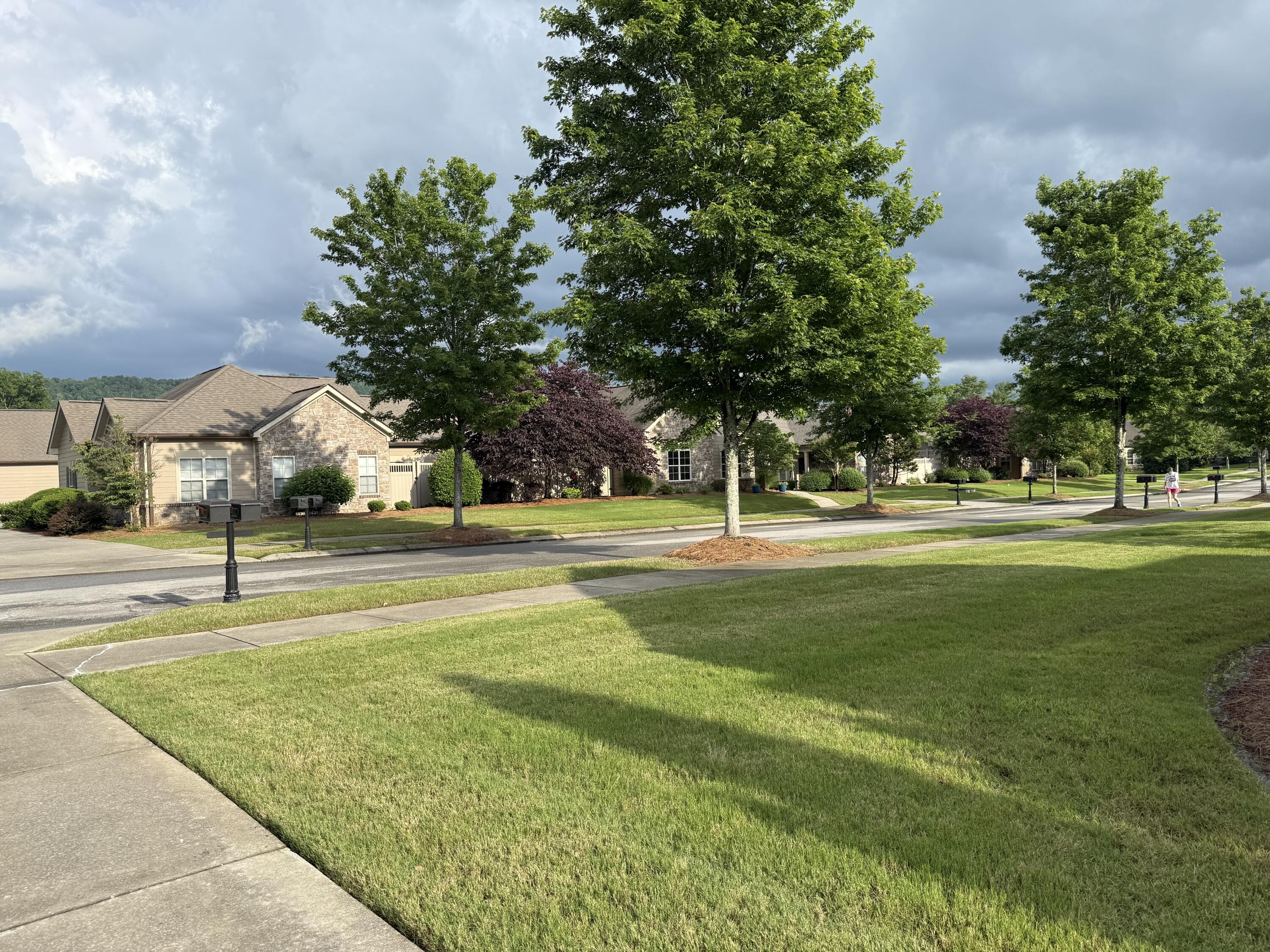 1428 Sedgefield Drive, Ooltewah, Tennessee image 4