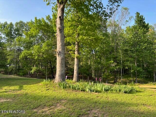 4080 Big Springs Gap Lane, Pikeville, Tennessee image 21