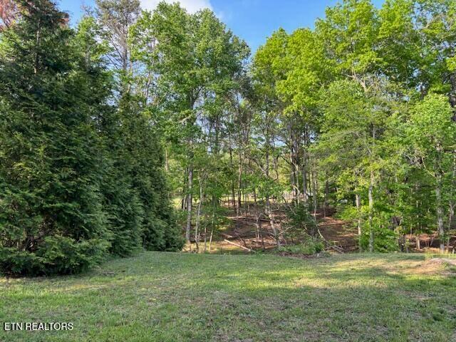 4080 Big Springs Gap Lane, Pikeville, Tennessee image 27