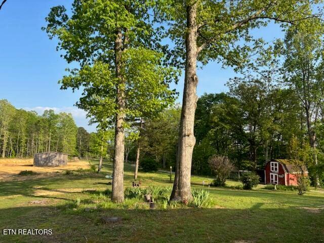 4080 Big Springs Gap Lane, Pikeville, Tennessee image 29
