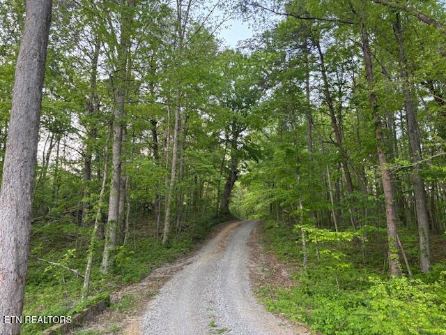 4080 Big Springs Gap Lane, Pikeville, Tennessee image 36