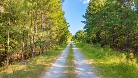Vacant Land For Sale - 640 Griffin Road<br/> Cartersville, GA 30120