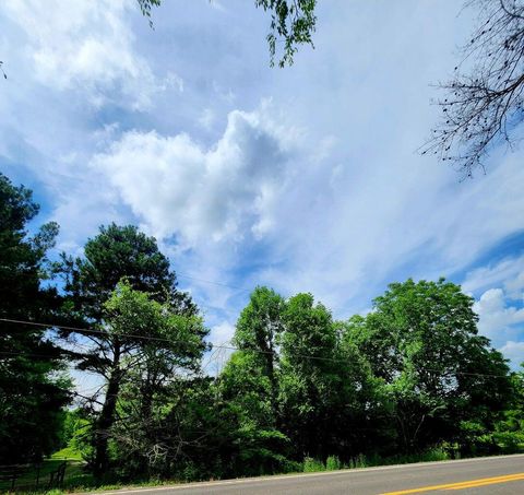 Photo of 0 River Road, Decatur, TN 37322 (MLS # 1525896)