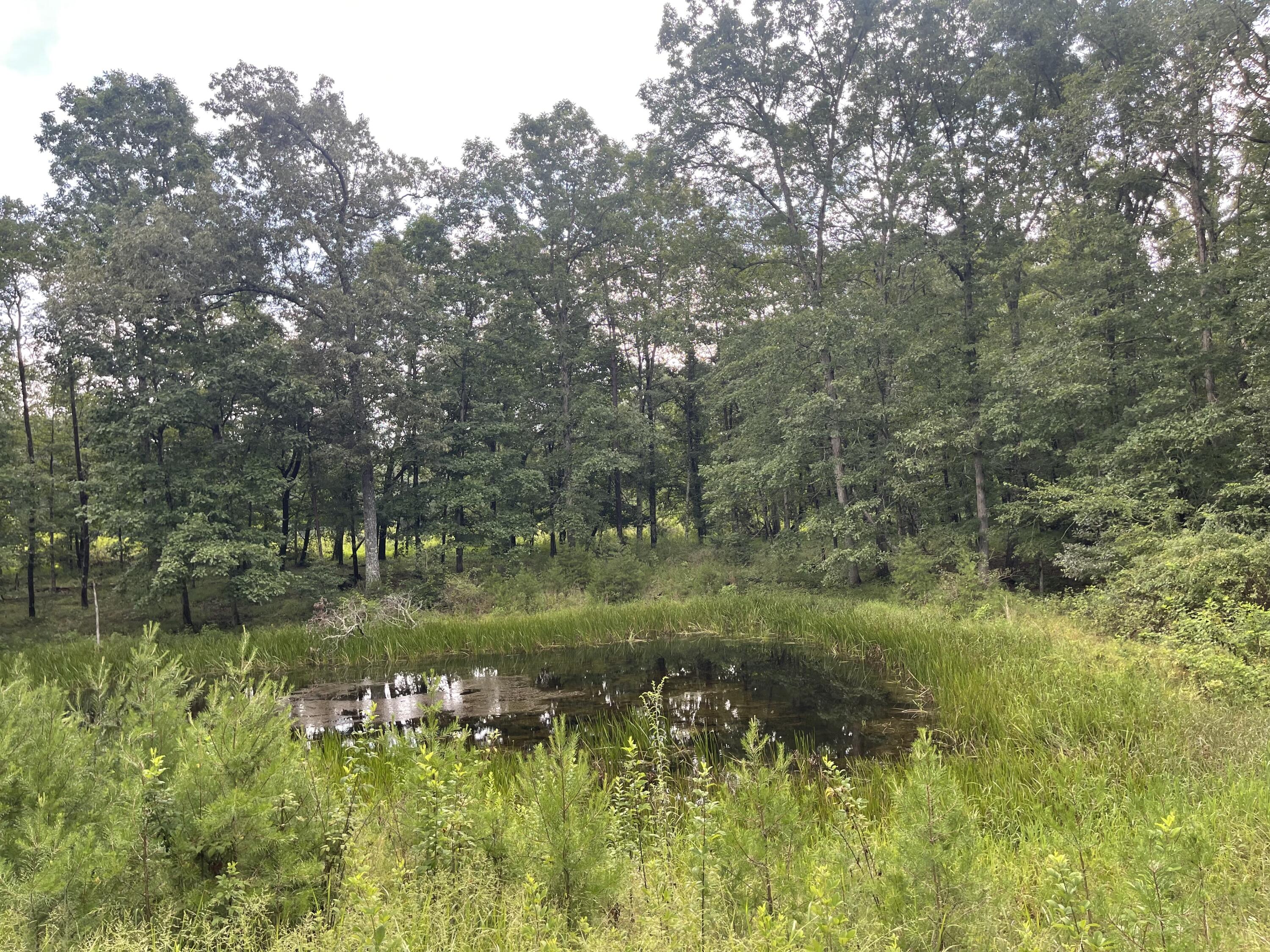 01 Newton Road, Crossville, Tennessee image 4