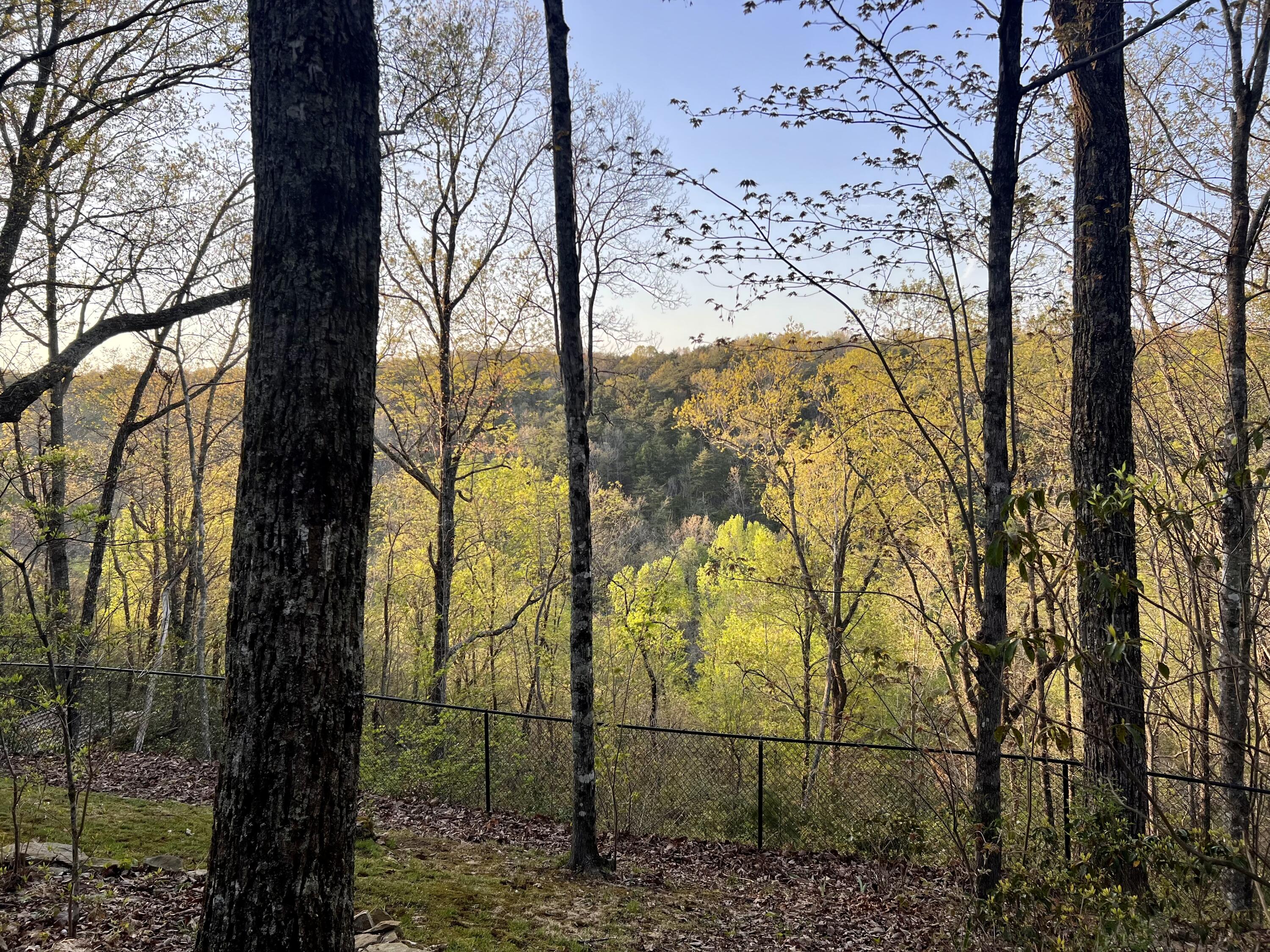 2366 Little Bend Road, Signal Mountain, Tennessee image 9