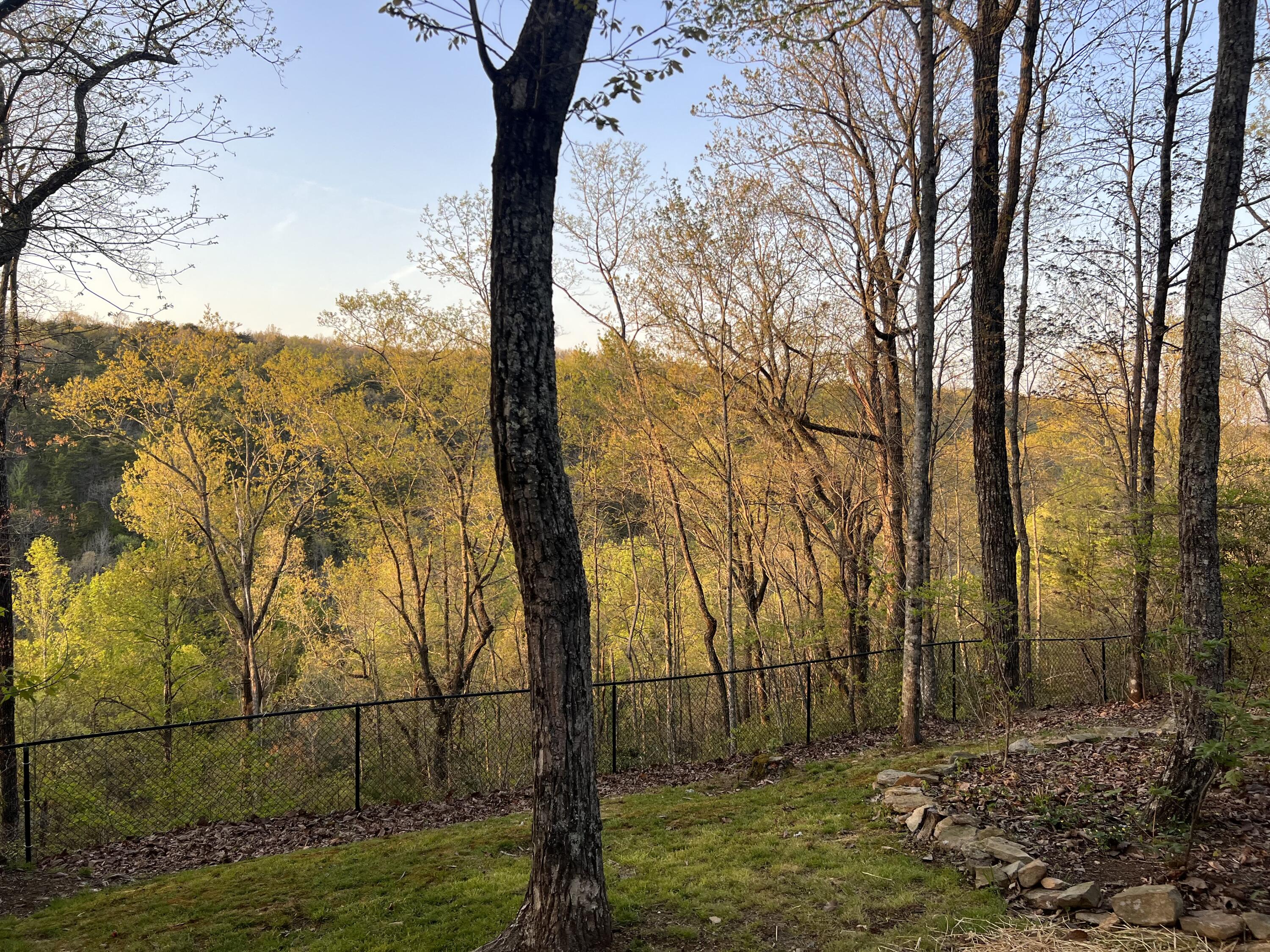 2366 Little Bend Road, Signal Mountain, Tennessee image 7