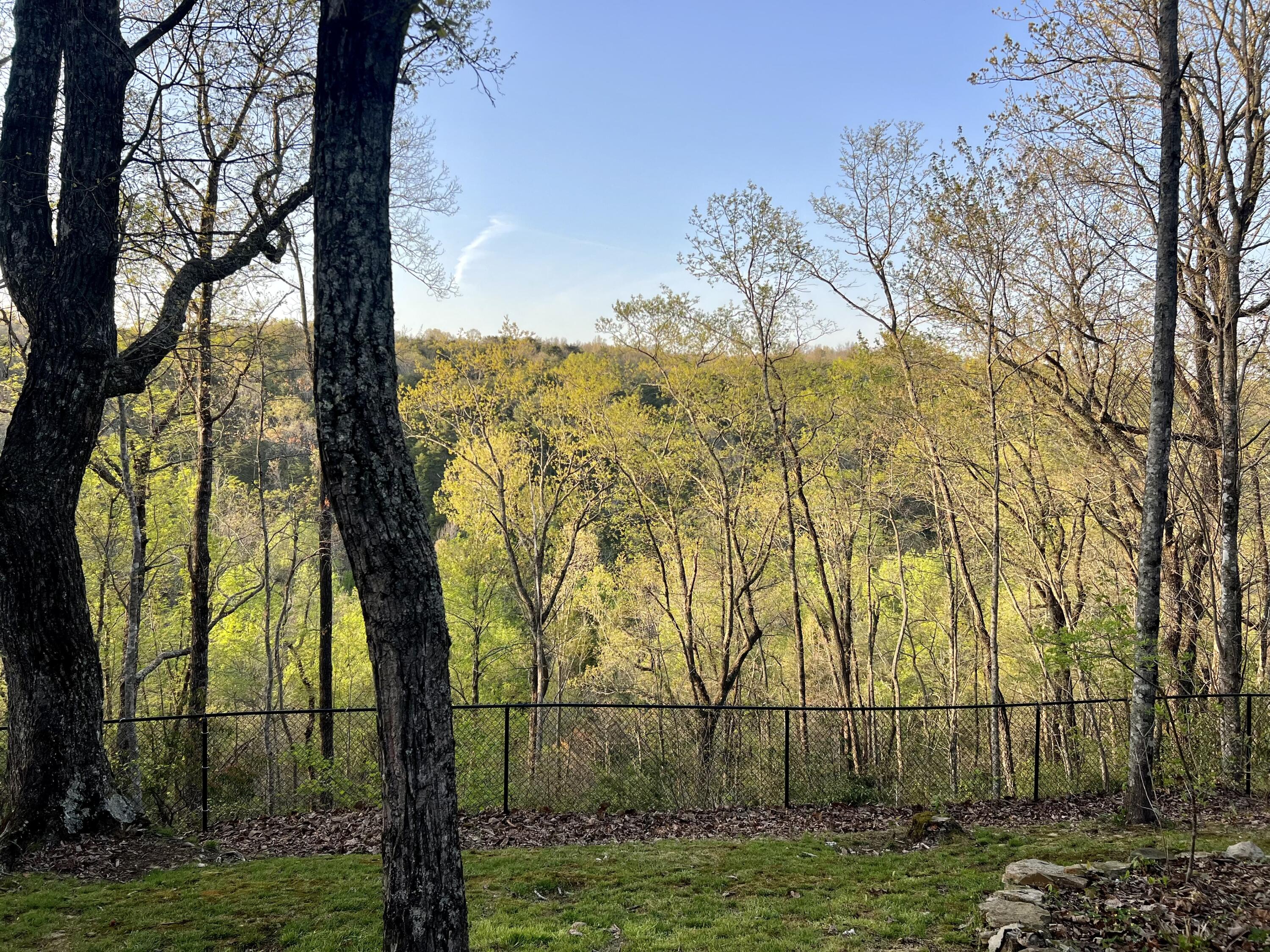 2366 Little Bend Road, Signal Mountain, Tennessee image 10