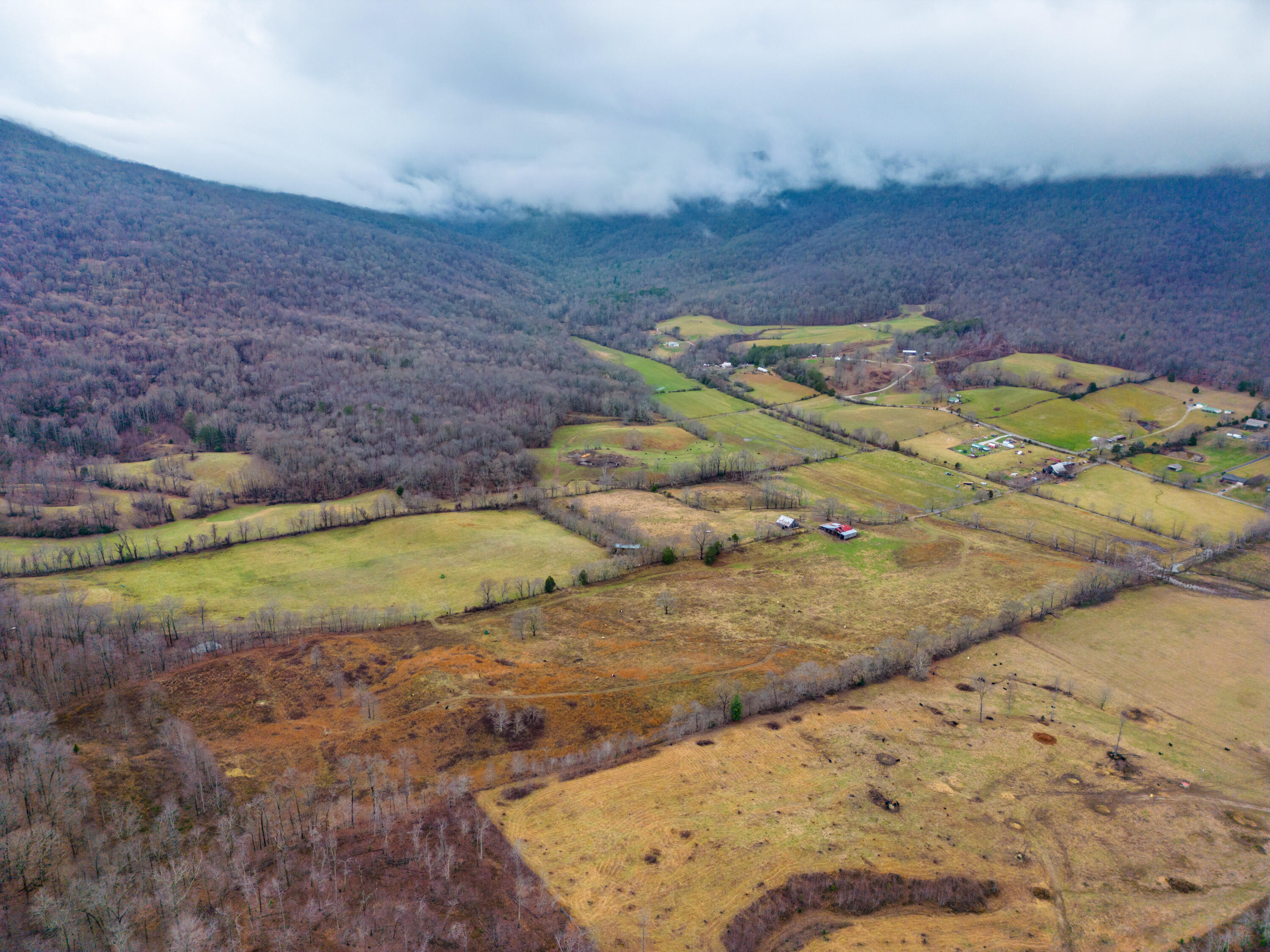 Kemmer Road, Crossville, Tennessee image 11