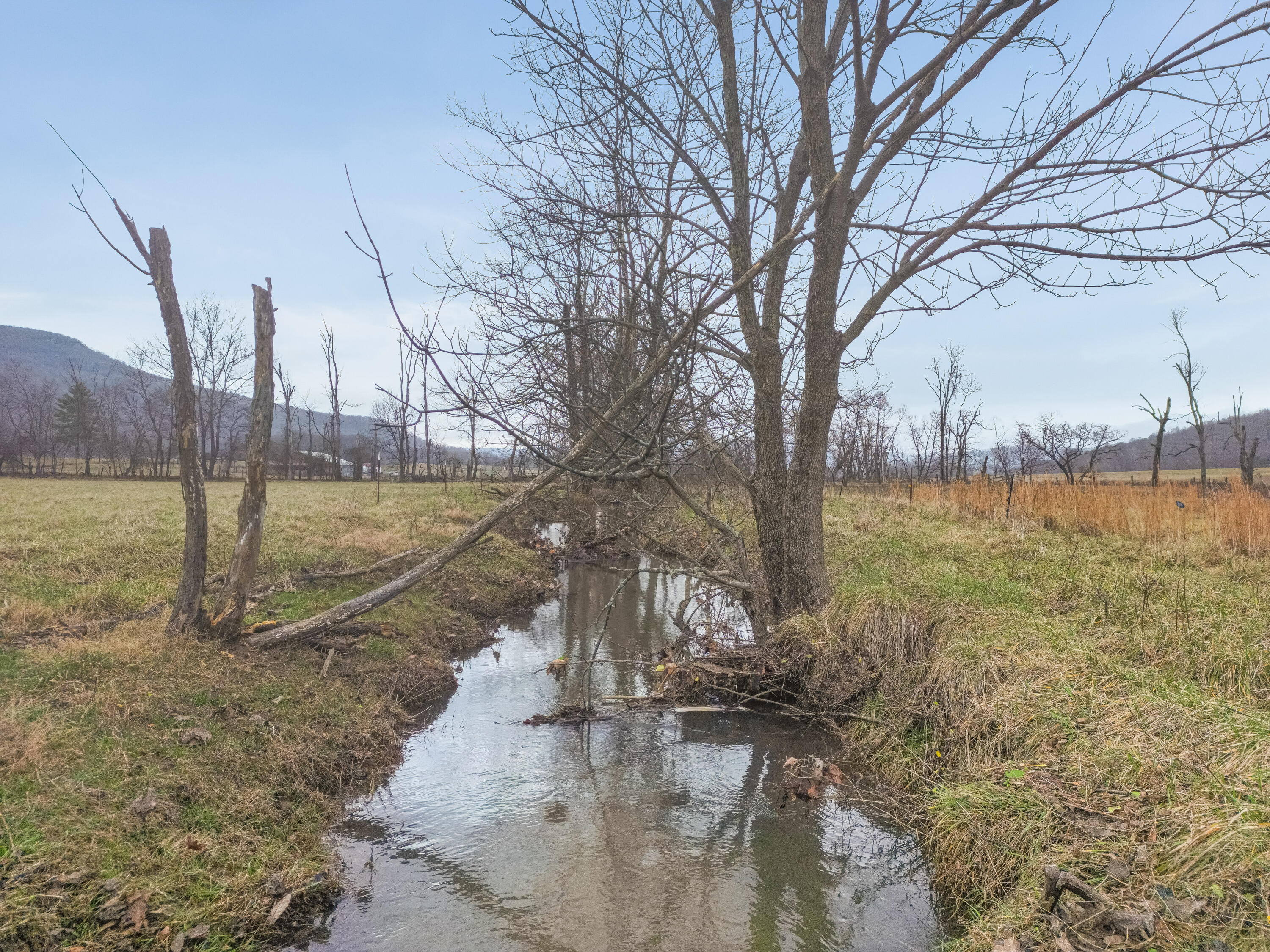 Kemmer Road, Crossville, Tennessee image 6