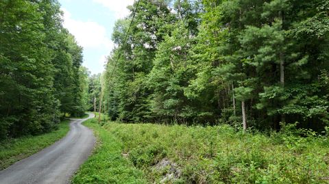 Vacant Land For Sale - LOT 13/14 Clifton Cemetery Road<br/> Rhea County, Spring City, TN 37381