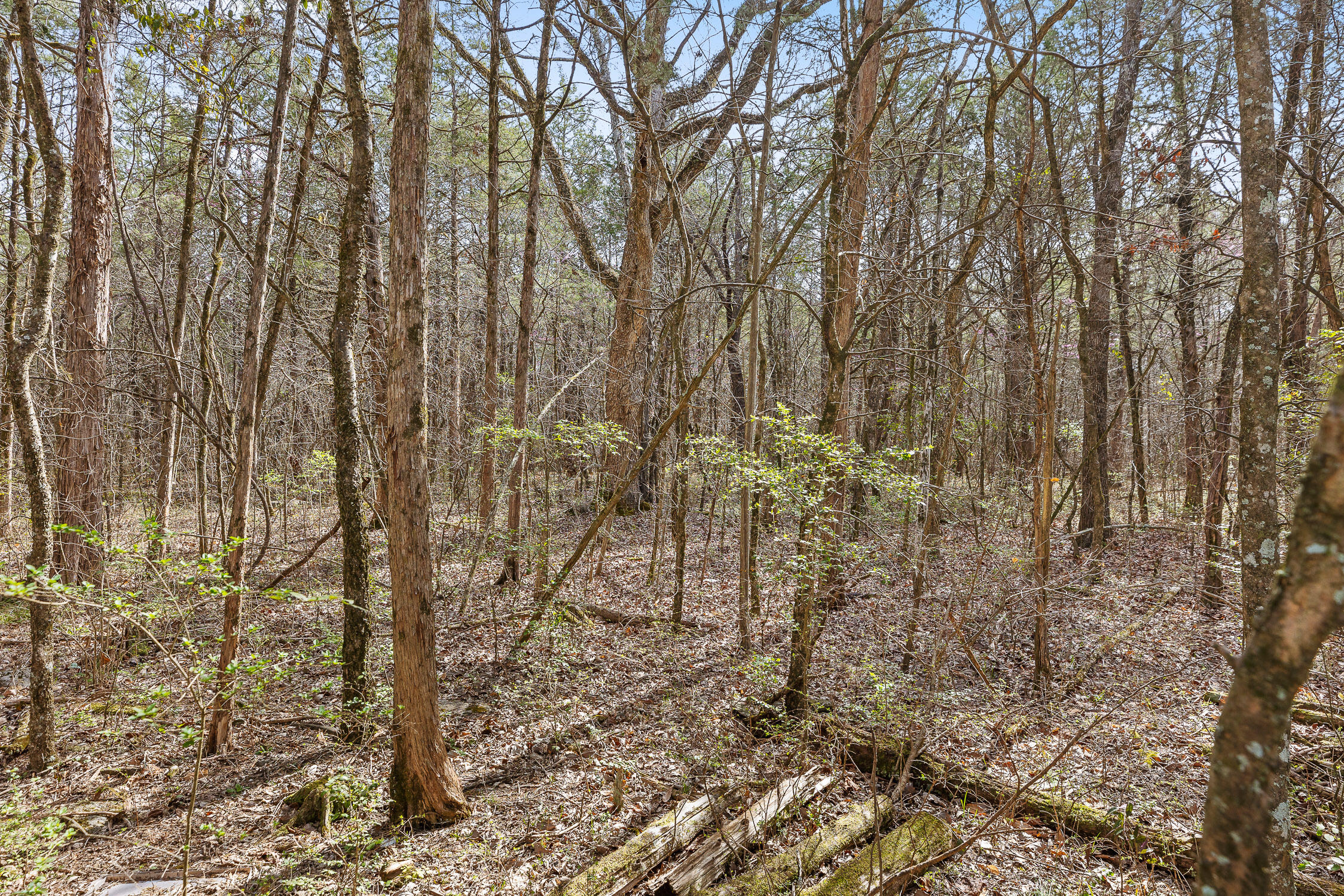 6403 Highway S 341, Chickamauga, Georgia image 27