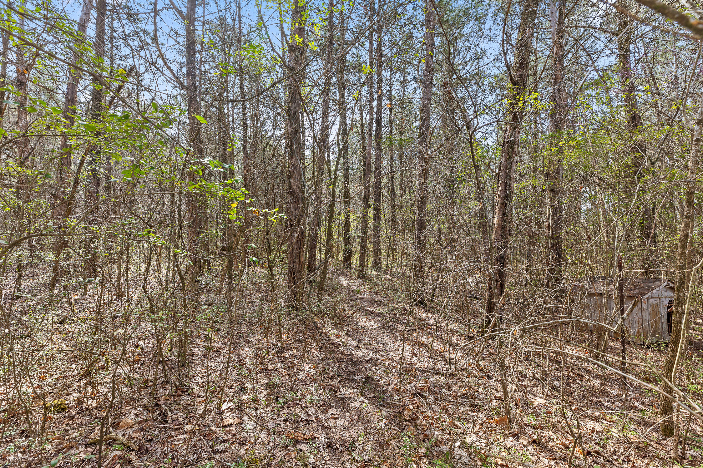 6403 Highway S 341, Chickamauga, Georgia image 26