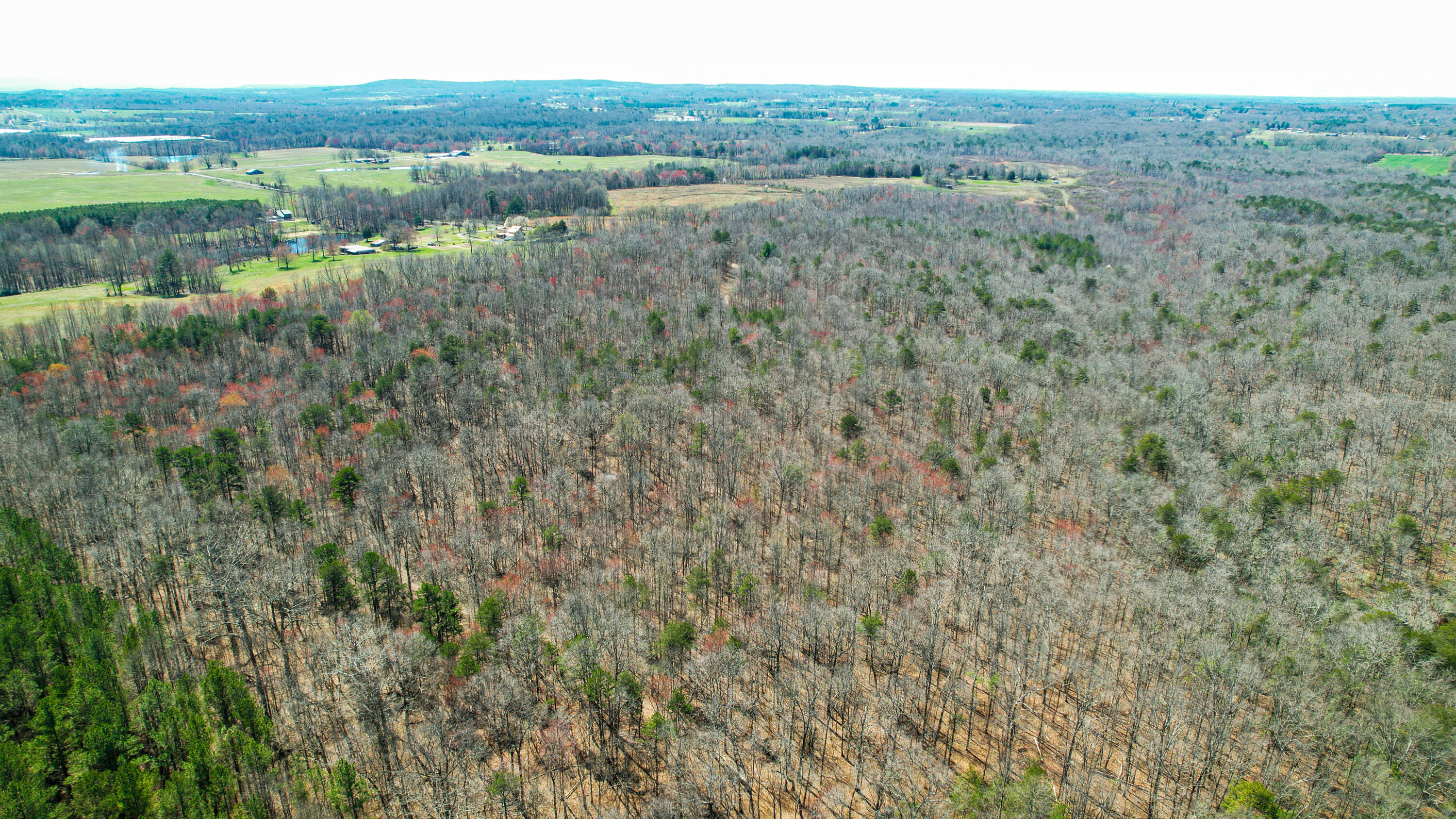 County Road 492, Henagar, Alabama image 20