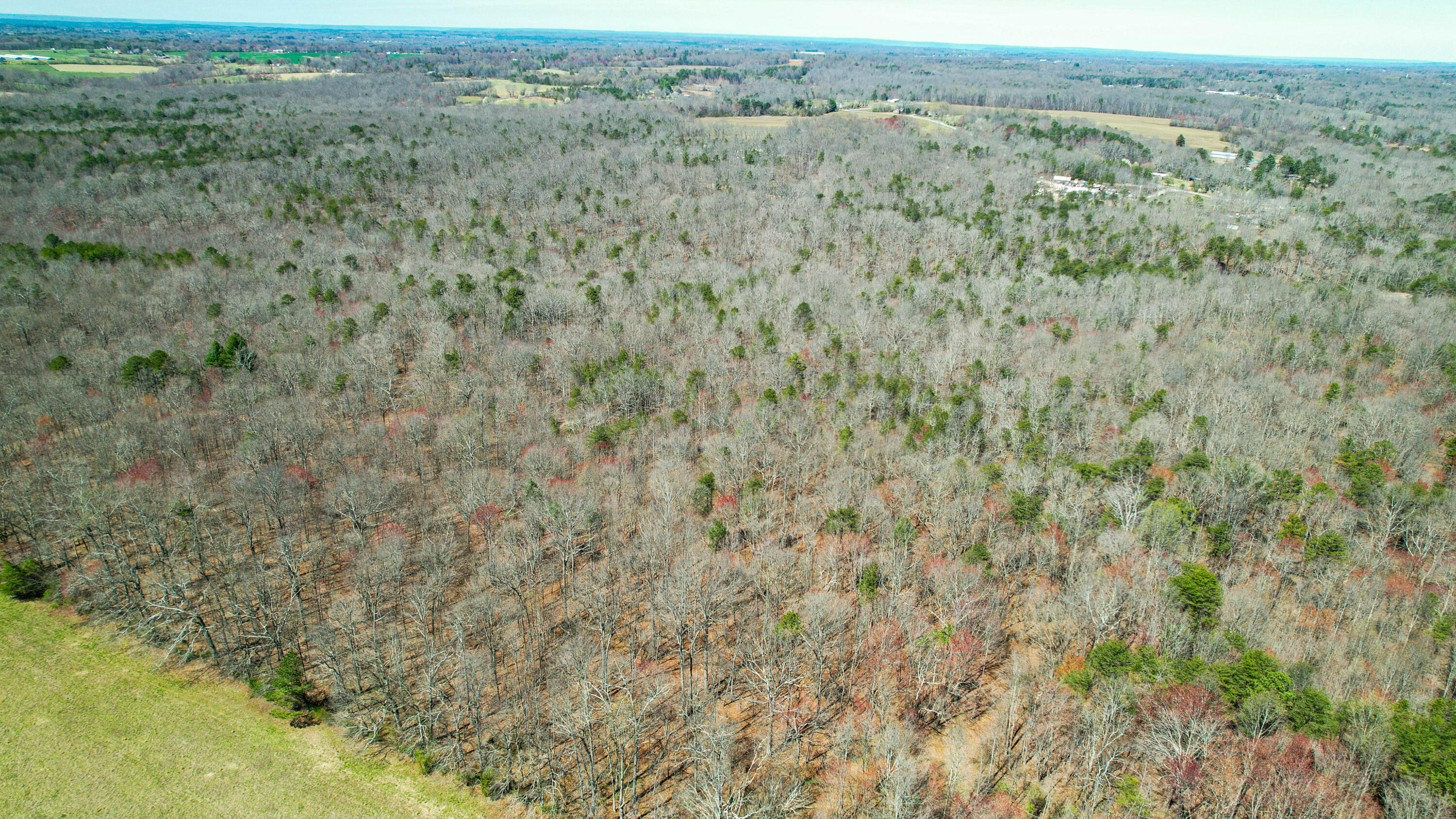 County Road 492, Henagar, Alabama image 19