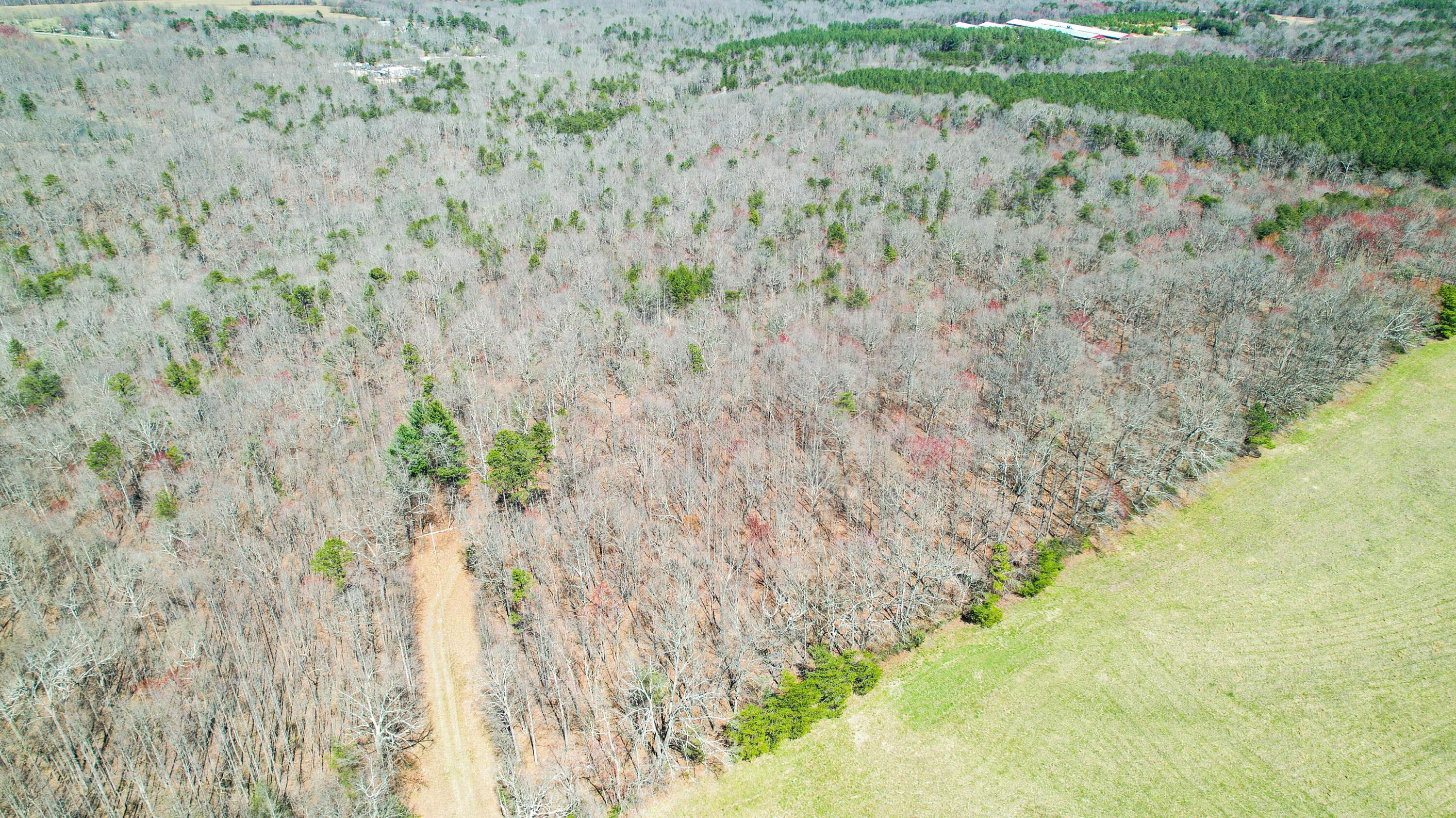 County Road 492, Henagar, Alabama image 17
