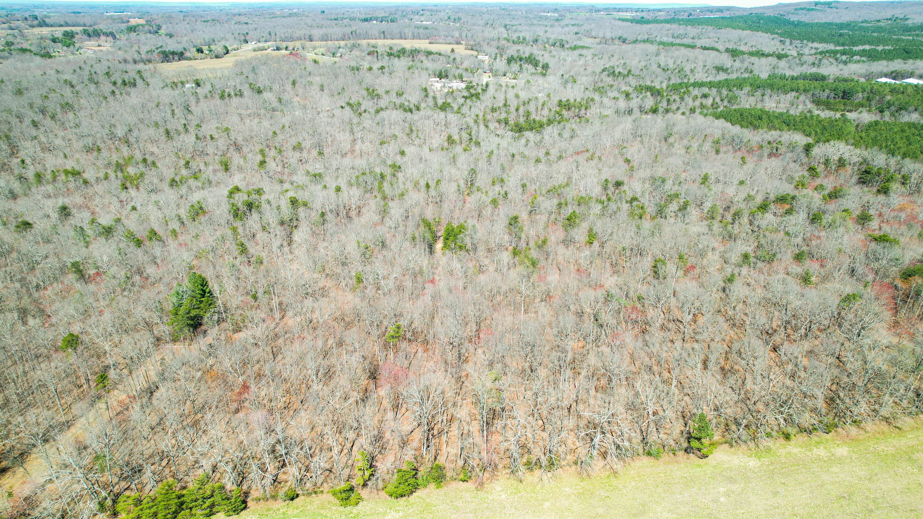 County Road 492, Henagar, Alabama image 18