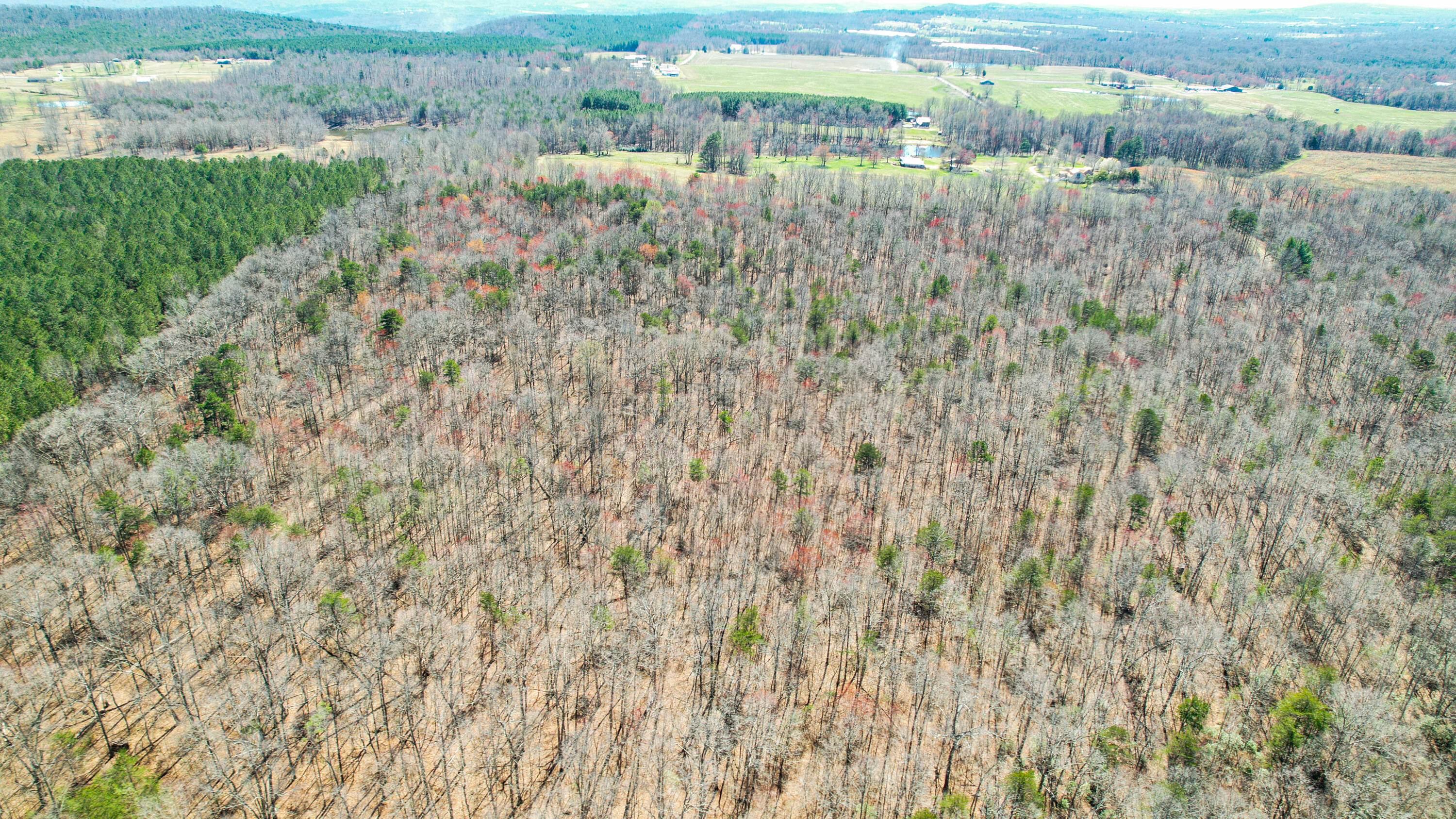 County Road 492, Henagar, Alabama image 22