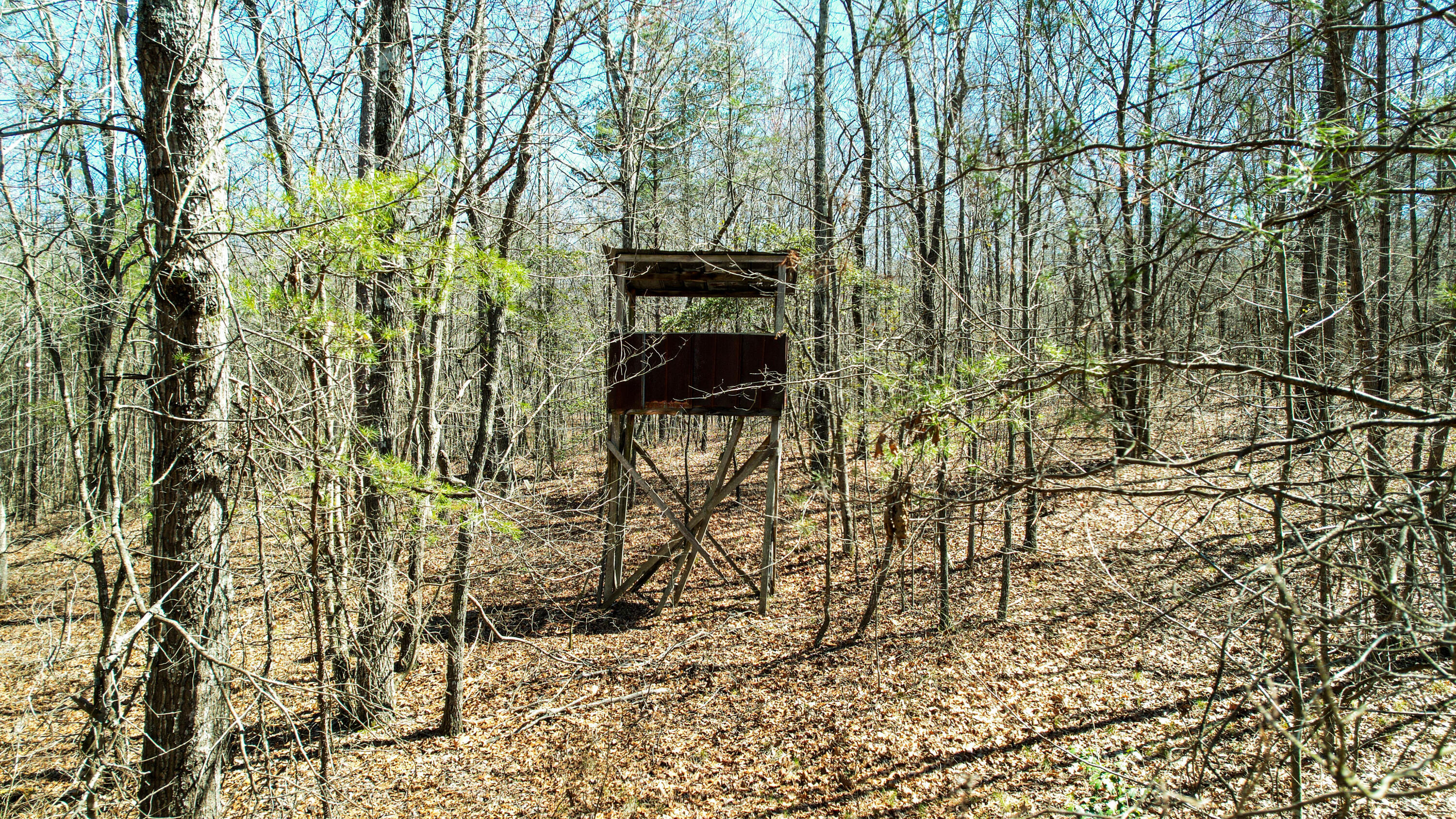 County Road 492, Henagar, Alabama image 4