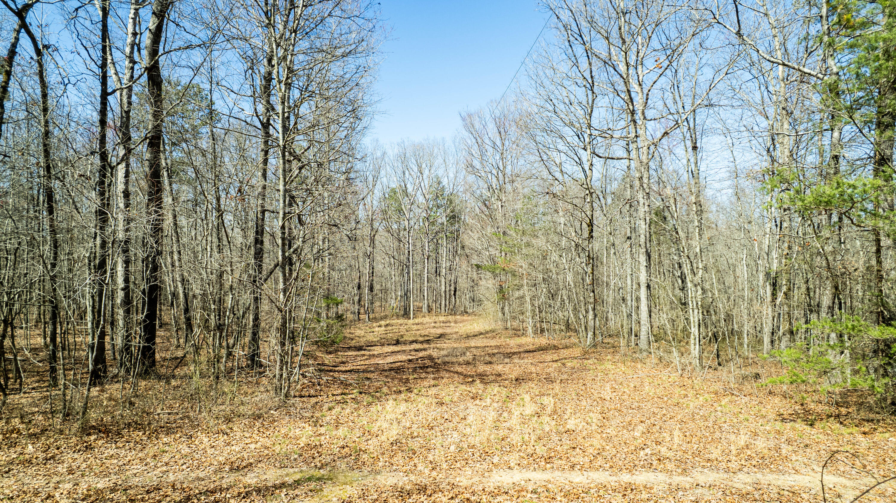 County Road 492, Henagar, Alabama image 2