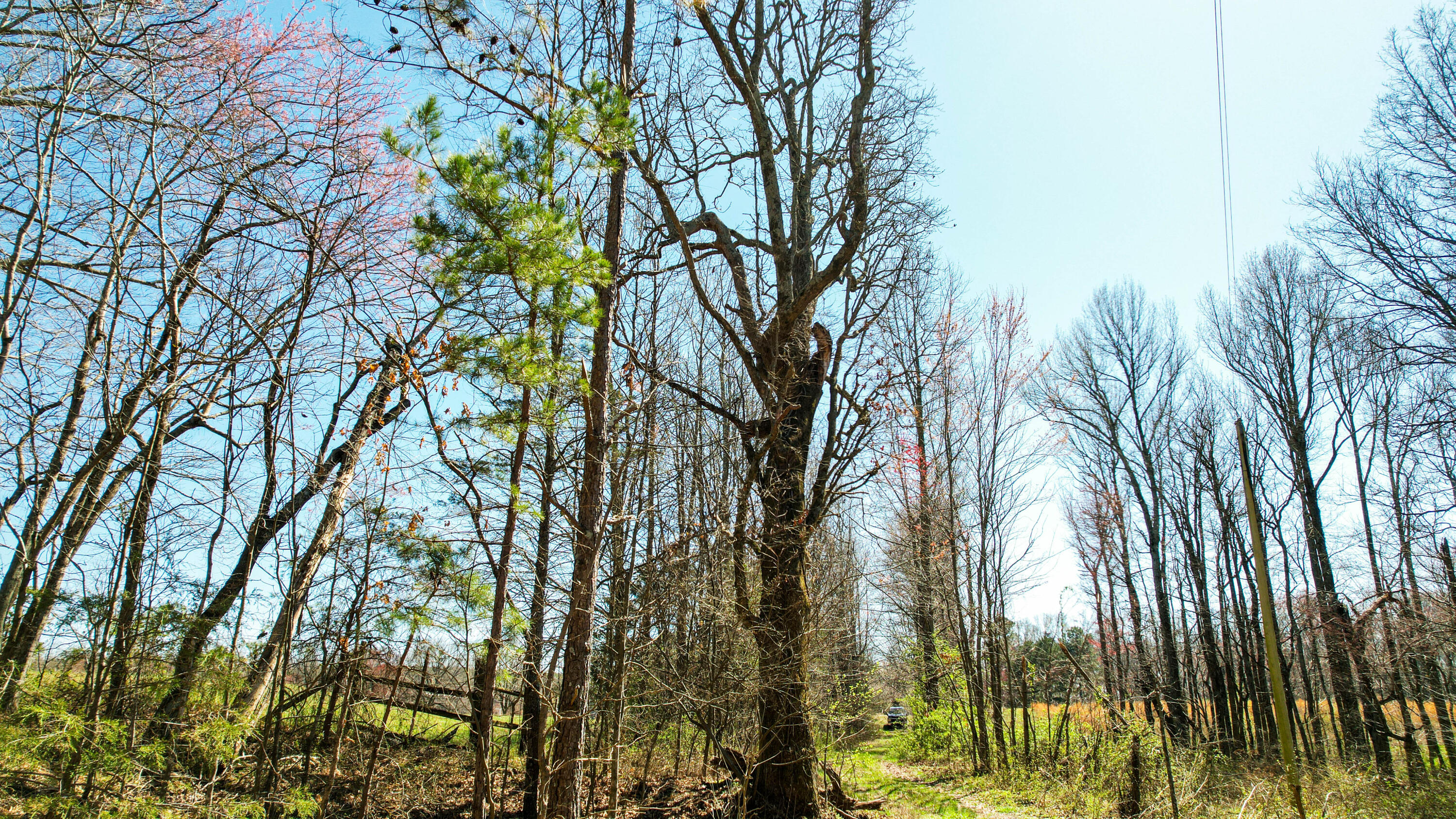 County Road 492, Henagar, Alabama image 16