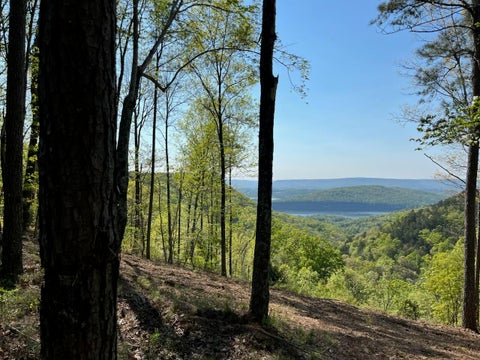 Vacant Land For Sale - 1755 Birds Eye Way<br/> Guild, TN 37340