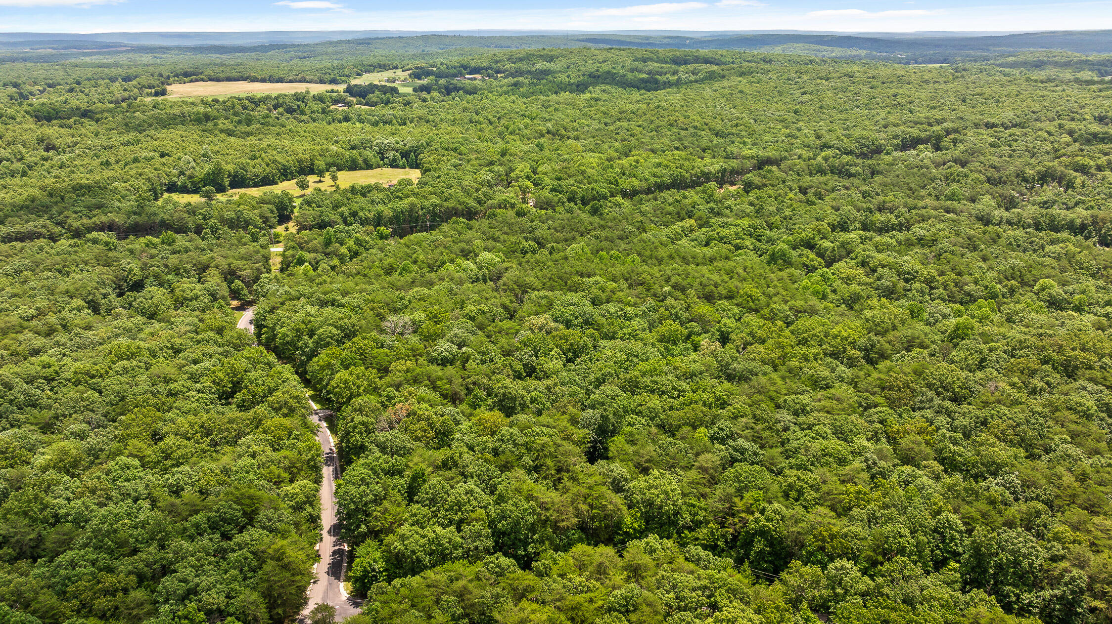 Timberwood Trce #302, Monteagle, Tennessee image 17