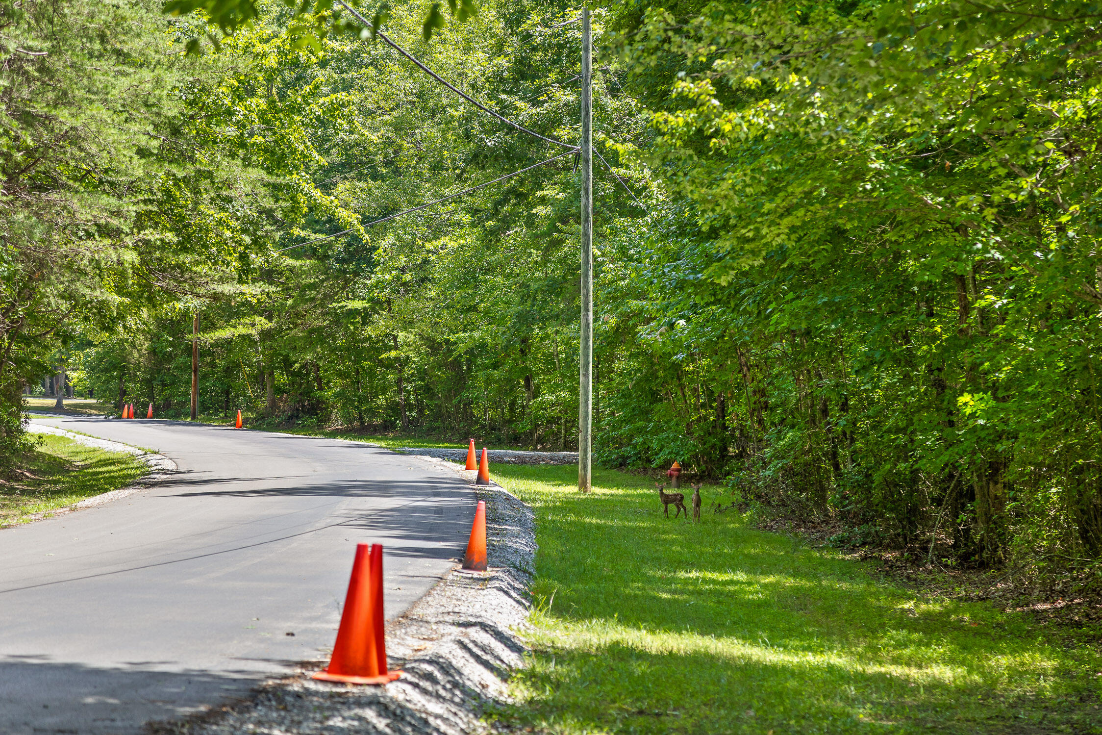 Timberwood Trce #302, Monteagle, Tennessee image 16