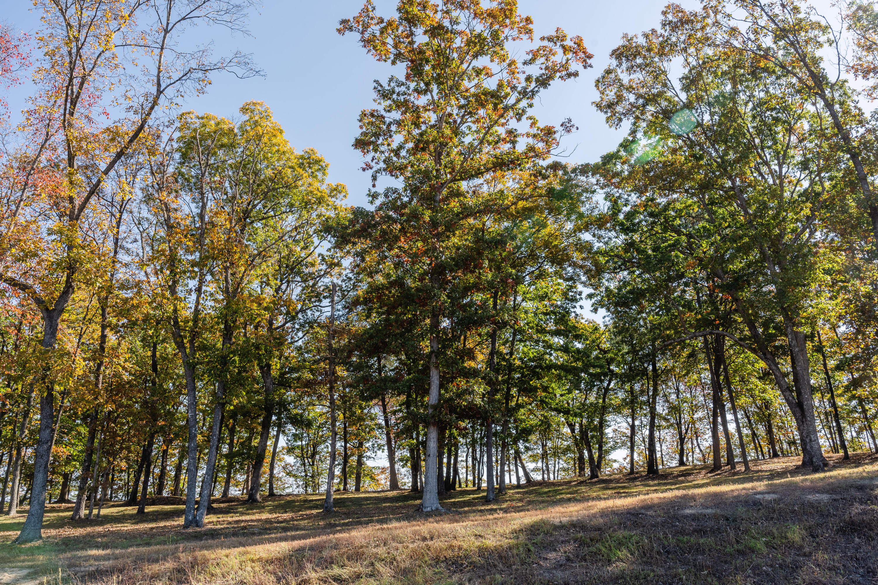 4107 Amethyst Road, Chattanooga, Tennessee image 9