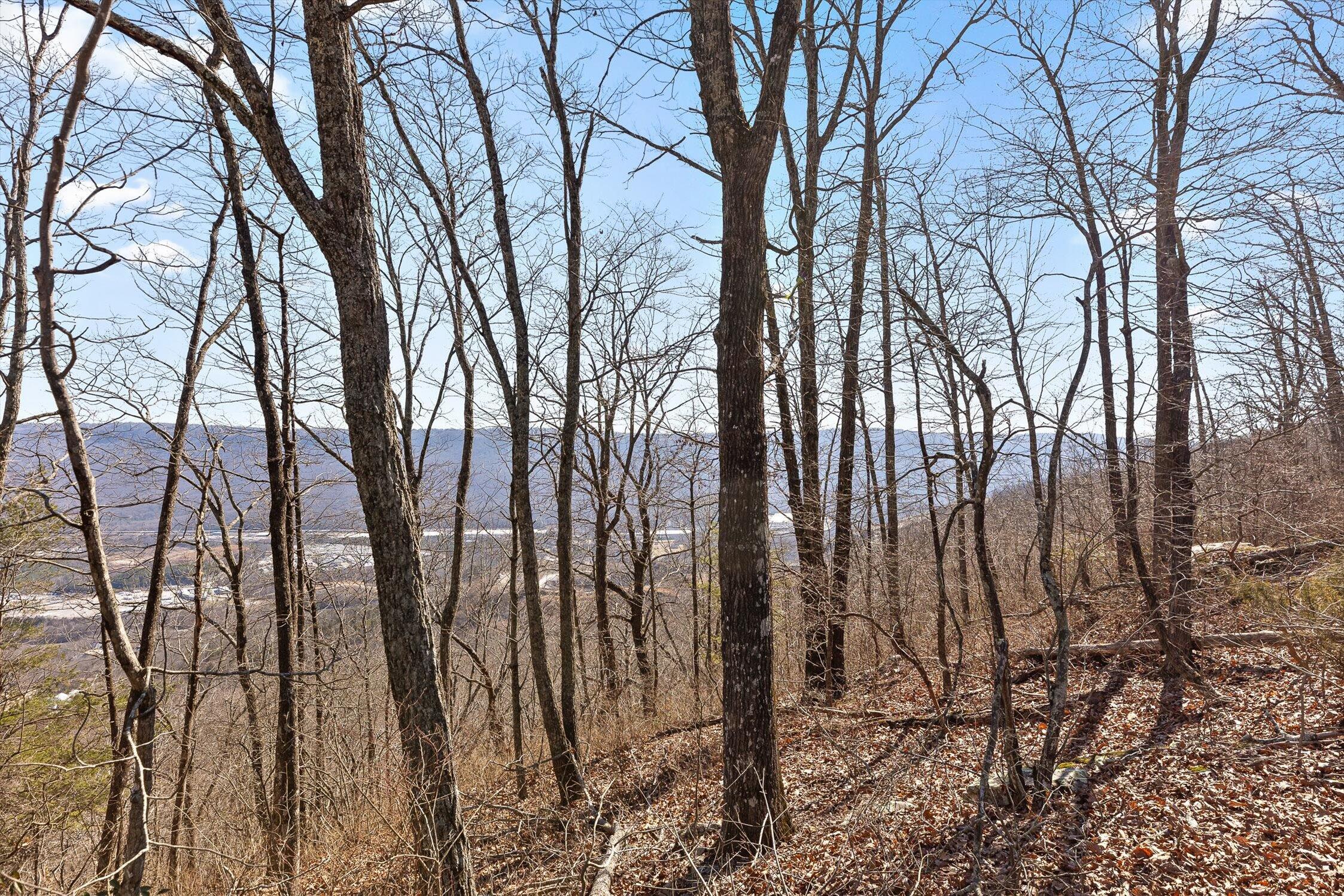 4233 Amethyst Road Homesite 807