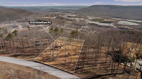 4233 Amethyst Road Homesite 807 Chattanooga TN 37419