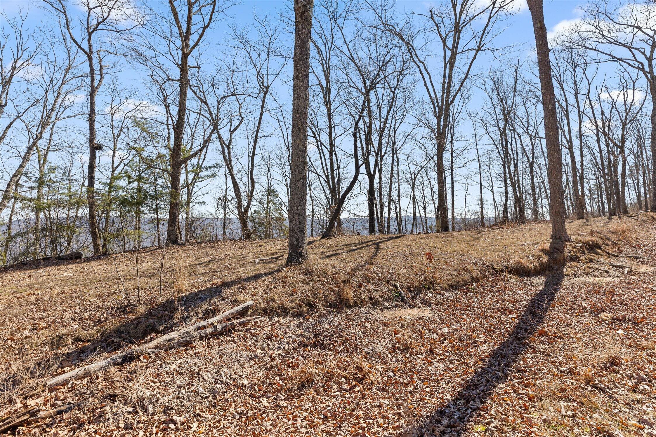4233 Amethyst Road Homesite 807