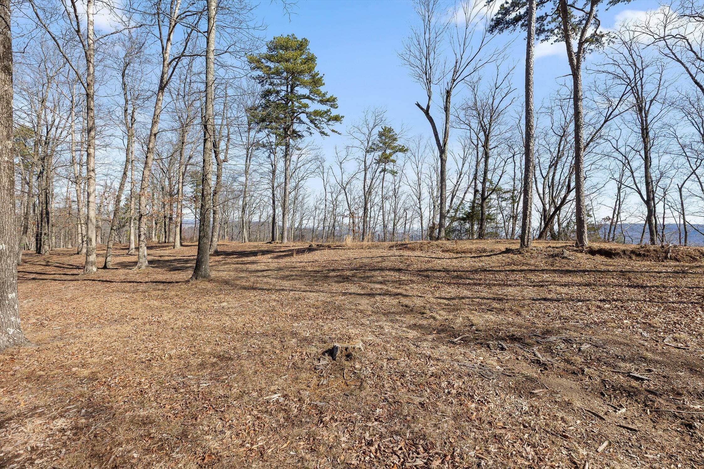 4233 Amethyst Road Homesite 807
