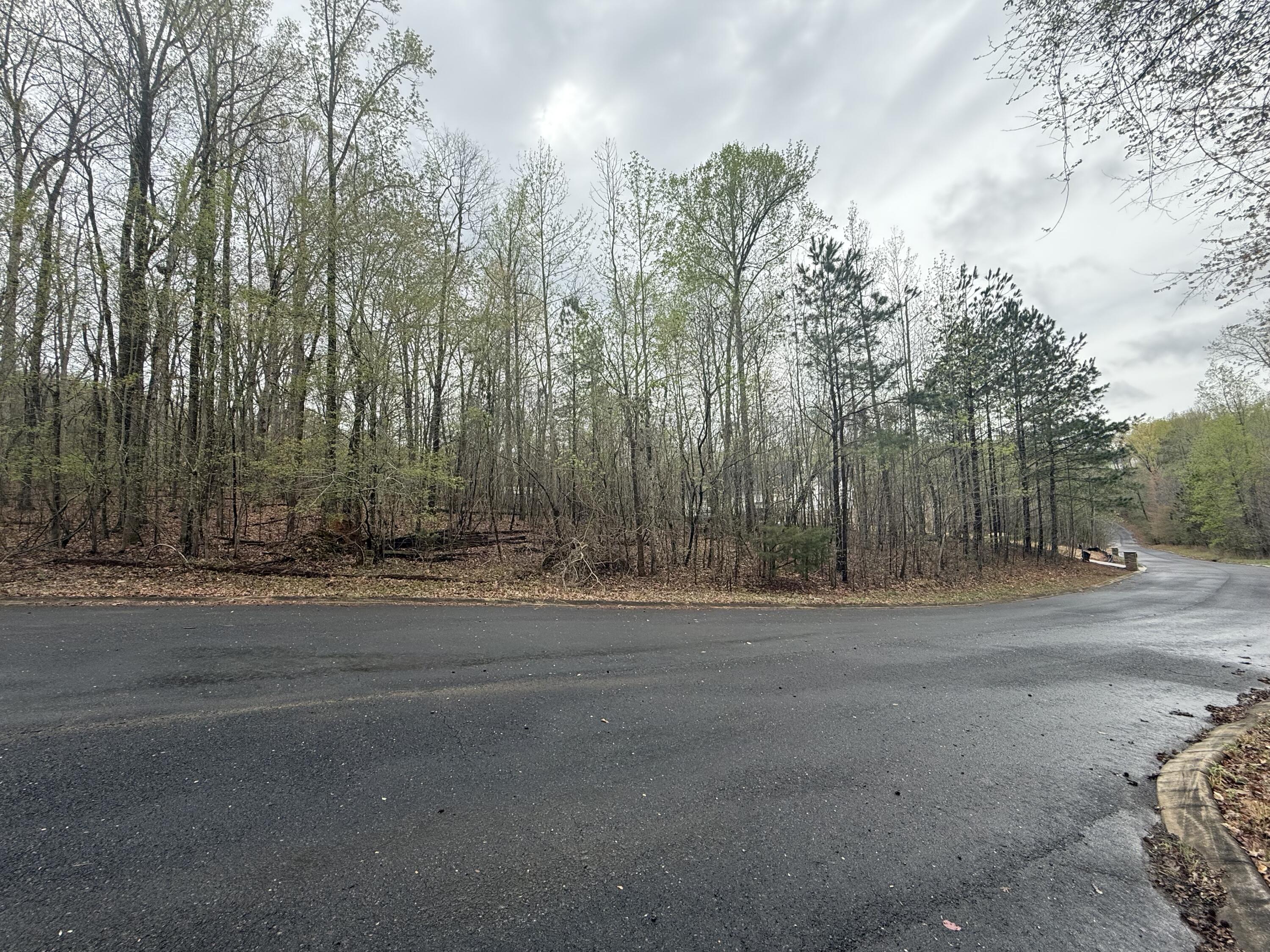12 Loblolly Lane #12, Tunnel Hill, Georgia image 8