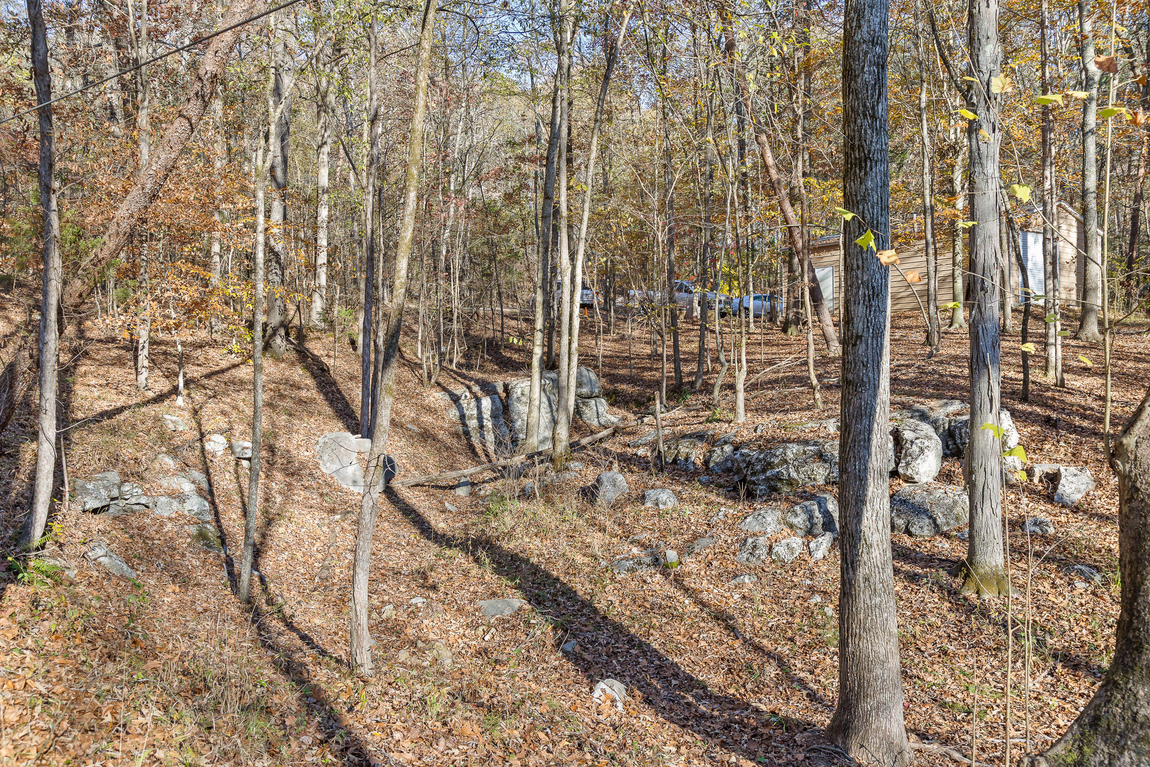452 Antler Drive Drive, Rising Fawn, Georgia image 46