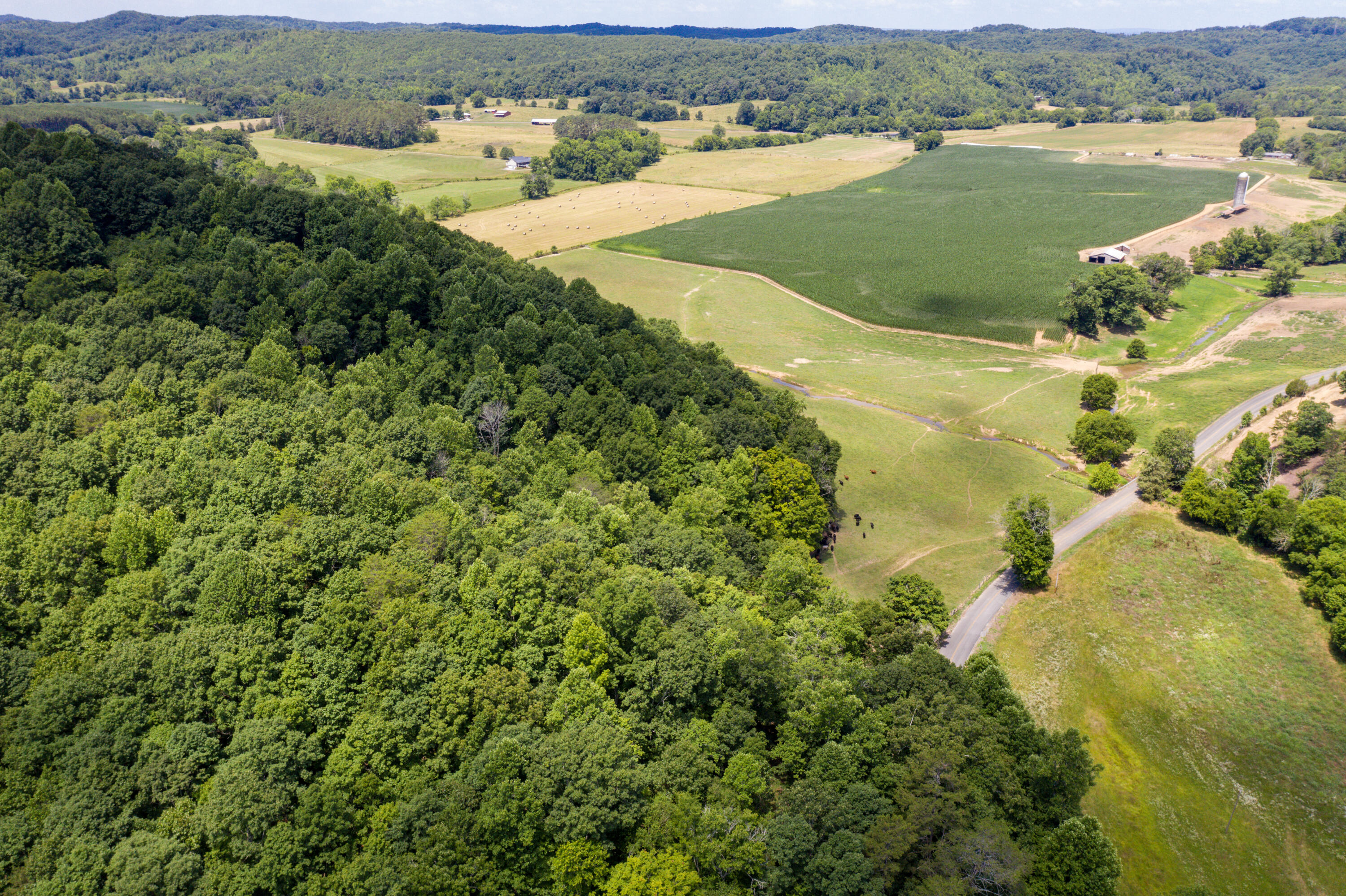 1636 NW White Oak Road, Cleveland, Tennessee image 31