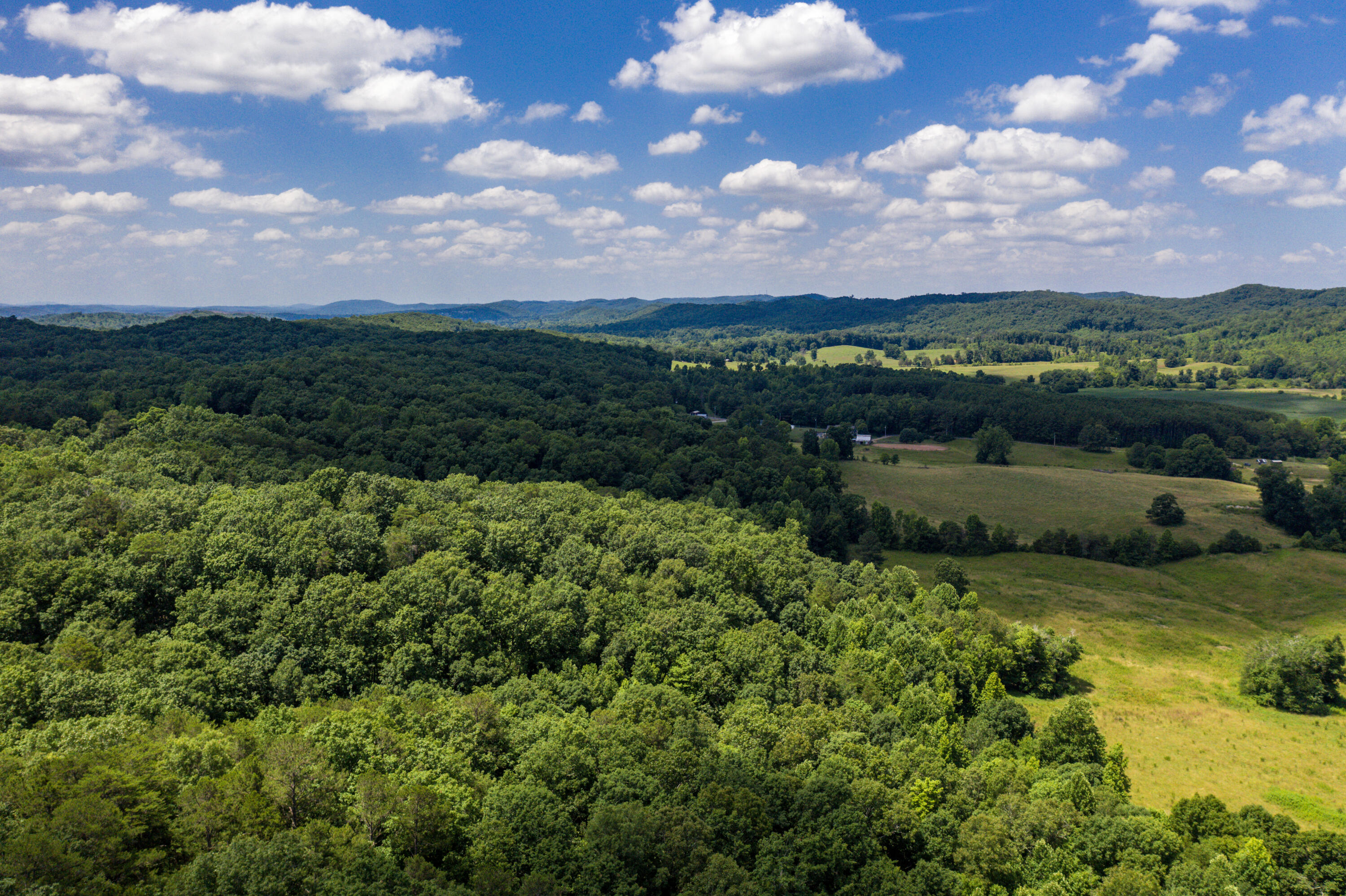 1636 NW White Oak Road, Cleveland, Tennessee image 46