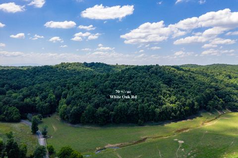 Photo of 1636 White Oak Road NW, Cleveland, TN 37312 (MLS # 1394442)