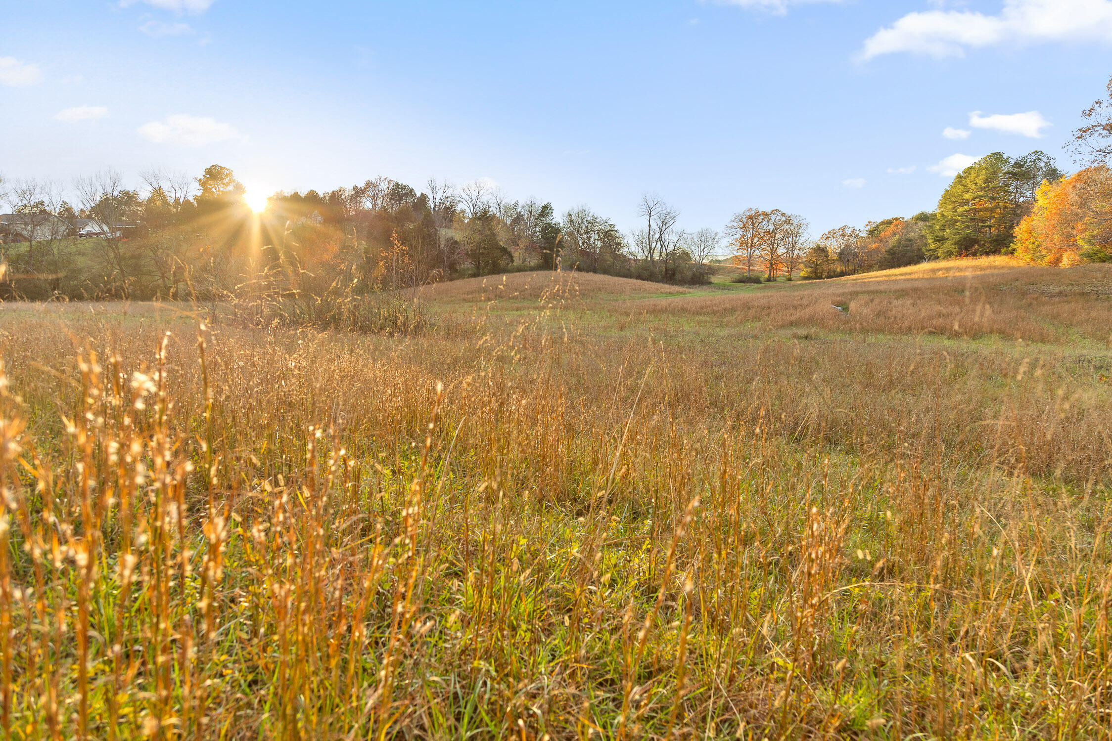 Oak Hill Road, Dayton, Tennessee image 4