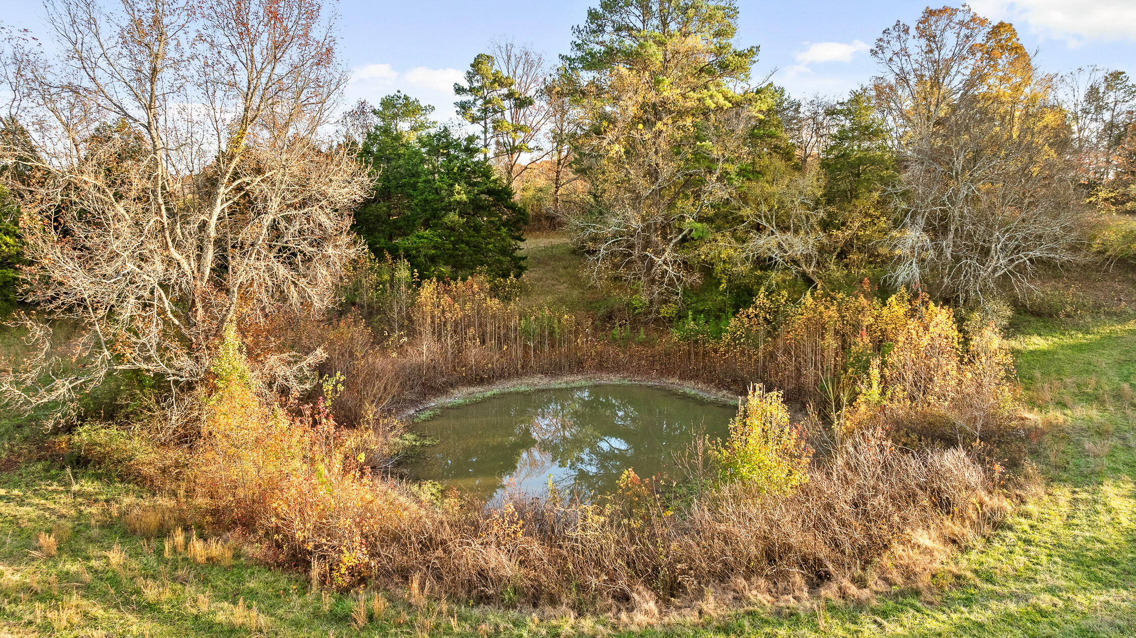 Oak Hill Road, Dayton, Tennessee image 16