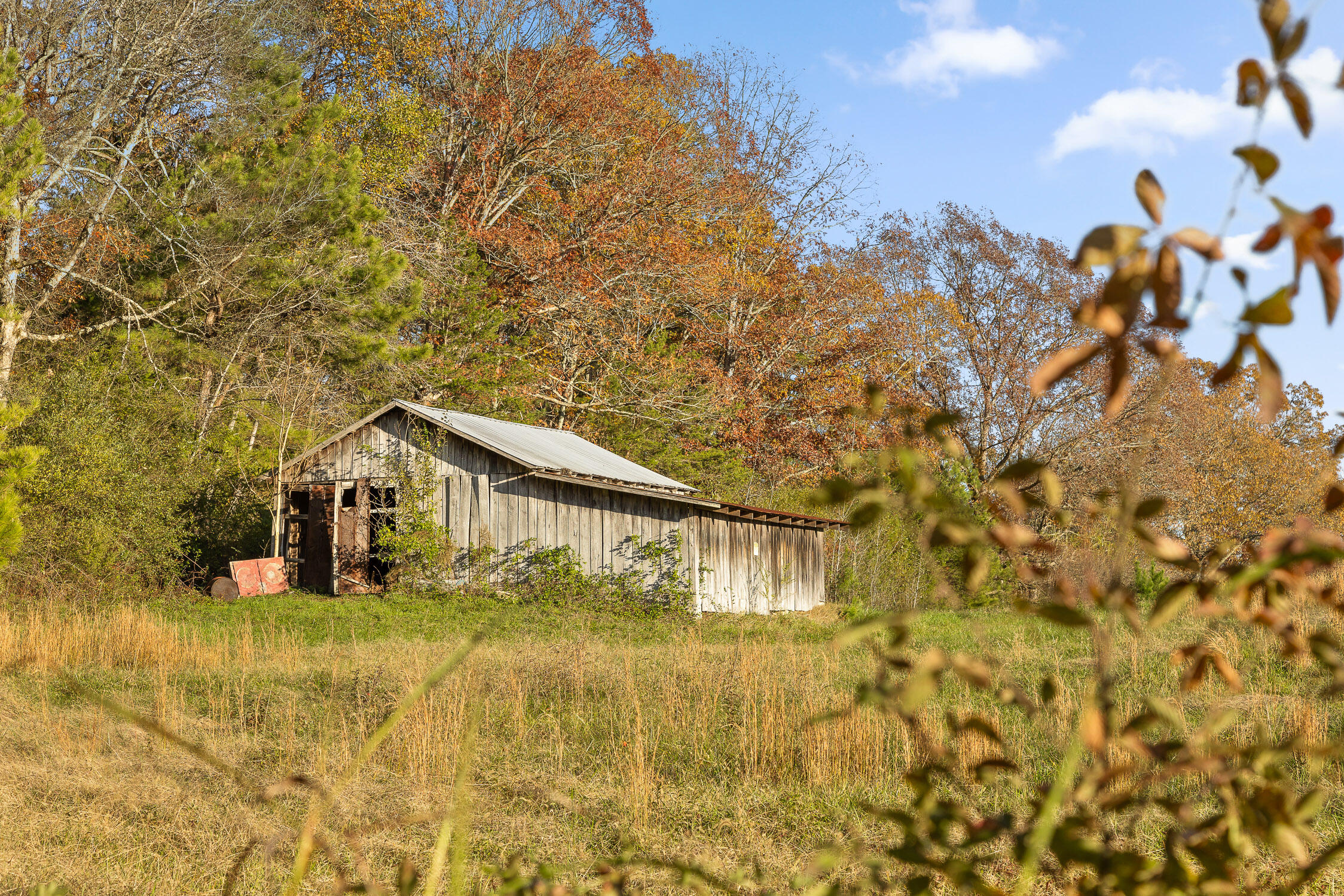 Oak Hill Road, Dayton, Tennessee image 13