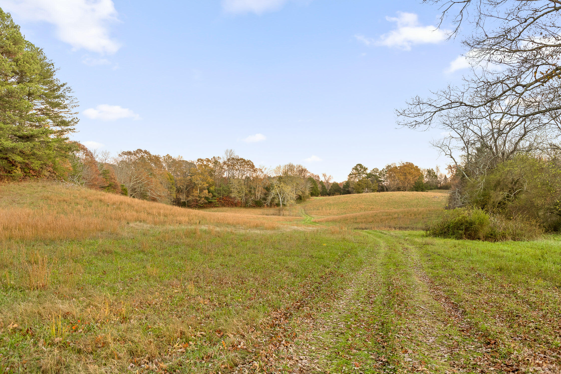 Oak Hill Road, Dayton, Tennessee image 41