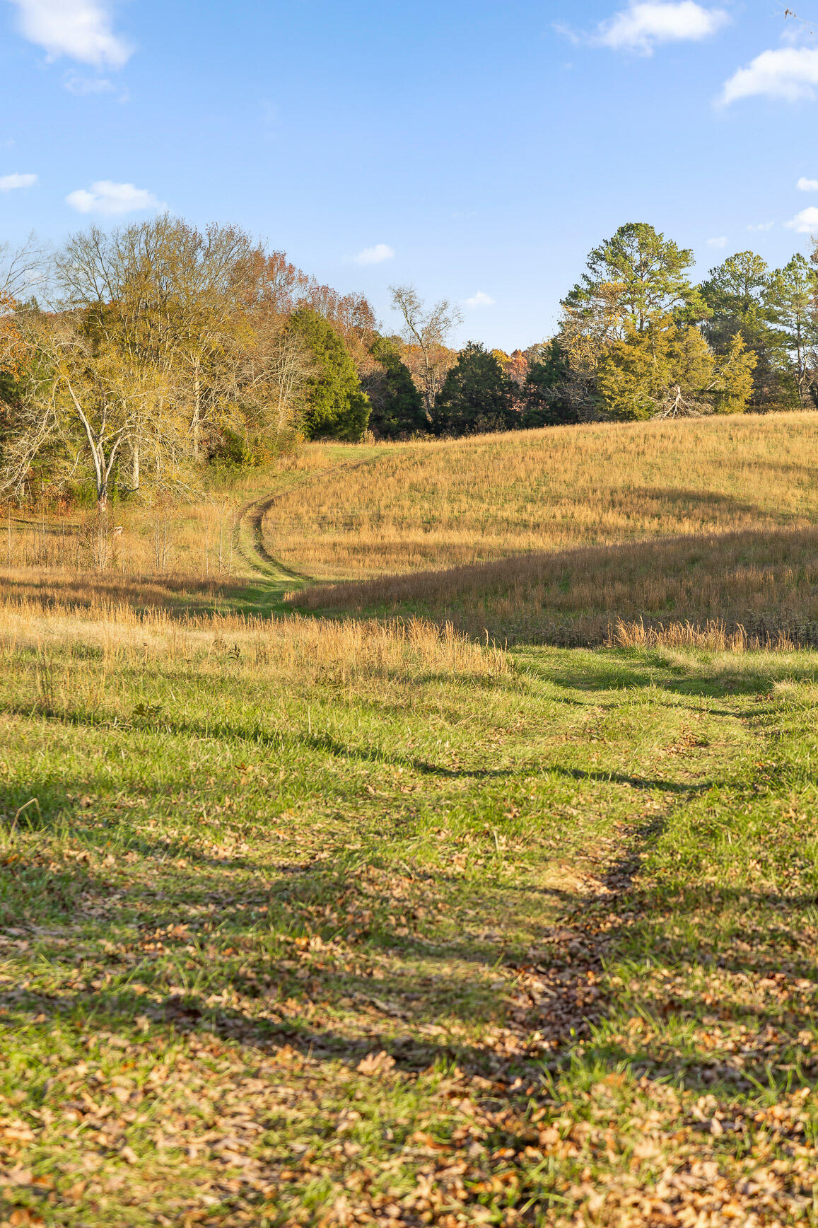 Oak Hill Road, Dayton, Tennessee image 46