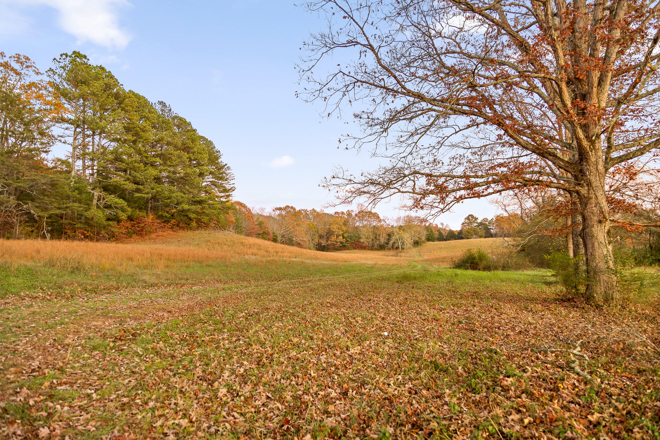 Oak Hill Road, Dayton, Tennessee image 35
