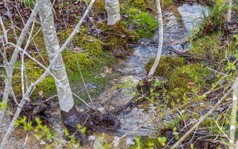 Tiny photo for 10600 Skyridge Trail, Soddy Daisy, TN 37379 (MLS # 1511023)