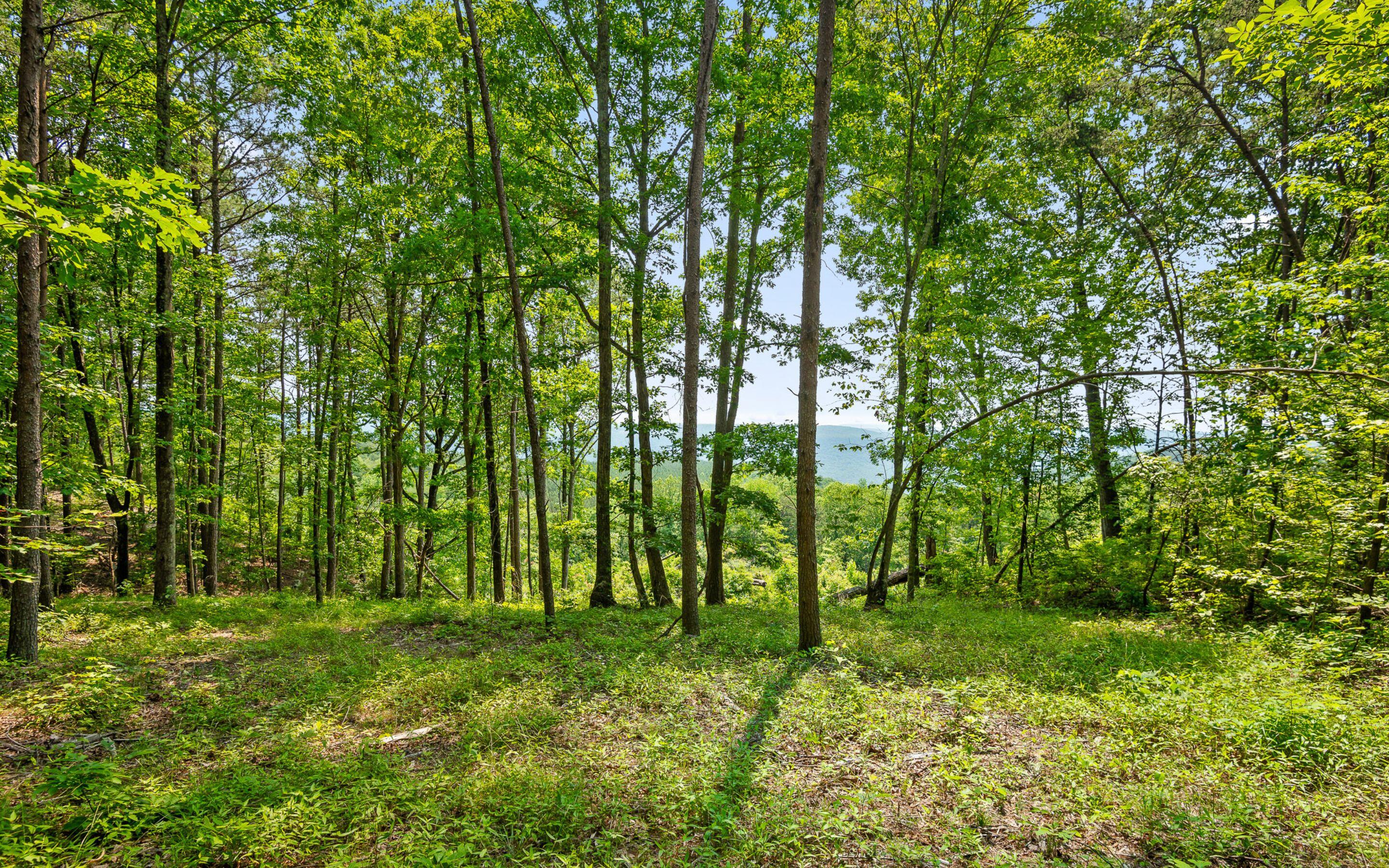 Lot 2222 High Ground Road, Guild, Tennessee image 18