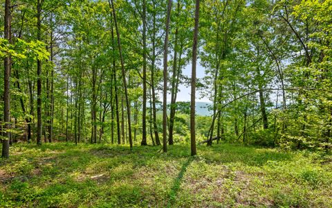 Tiny photo for Lot 2222 High Ground Road, Guild, TN 37340 (MLS # 1514240)