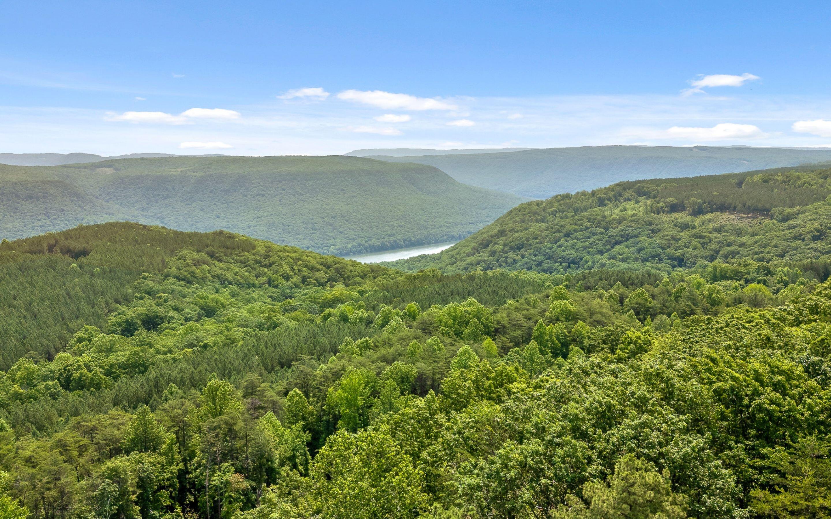 Lot 2222 High Ground Road, Guild, Tennessee image 12