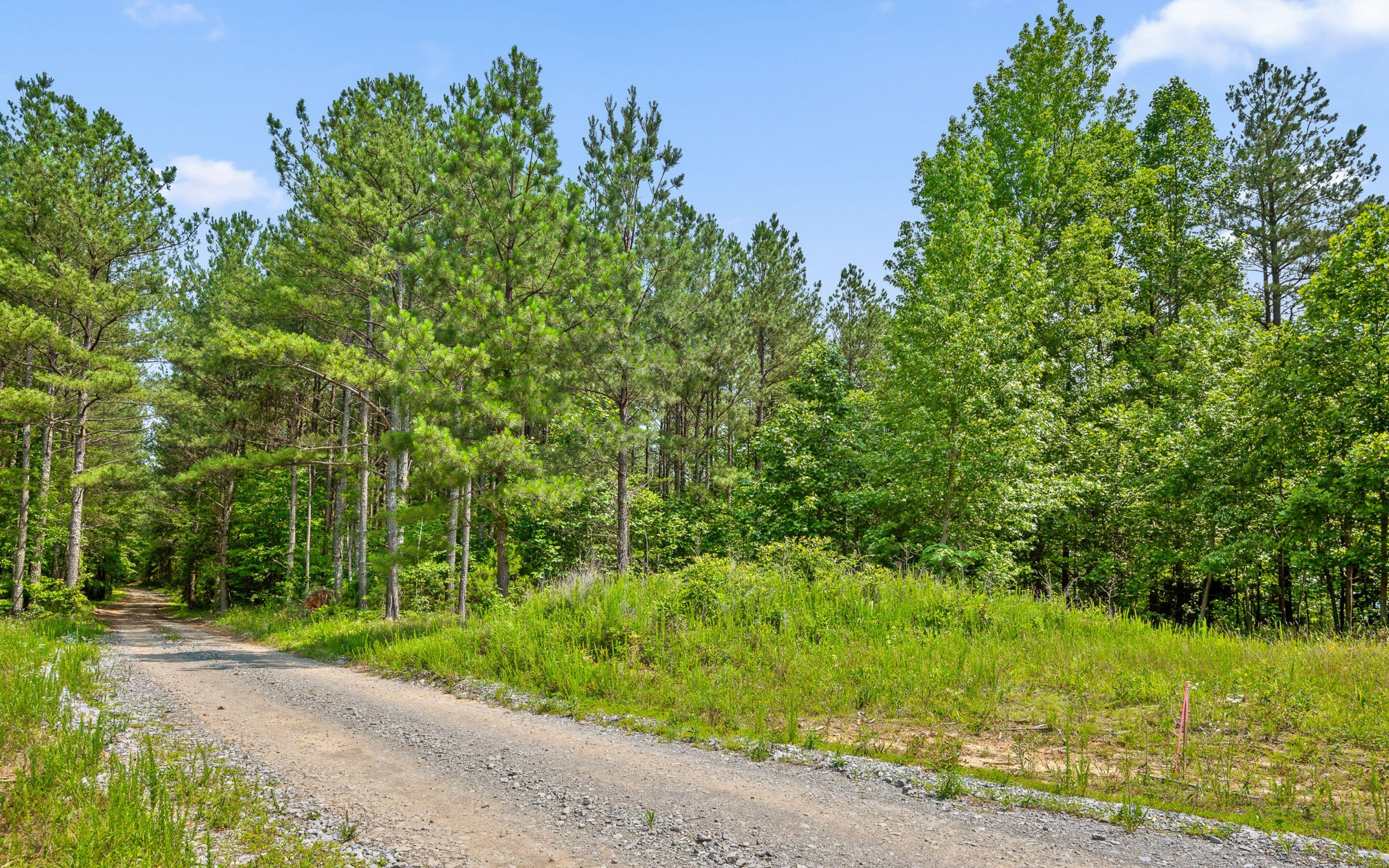 Lot 2222 High Ground Road, Guild, Tennessee image 21